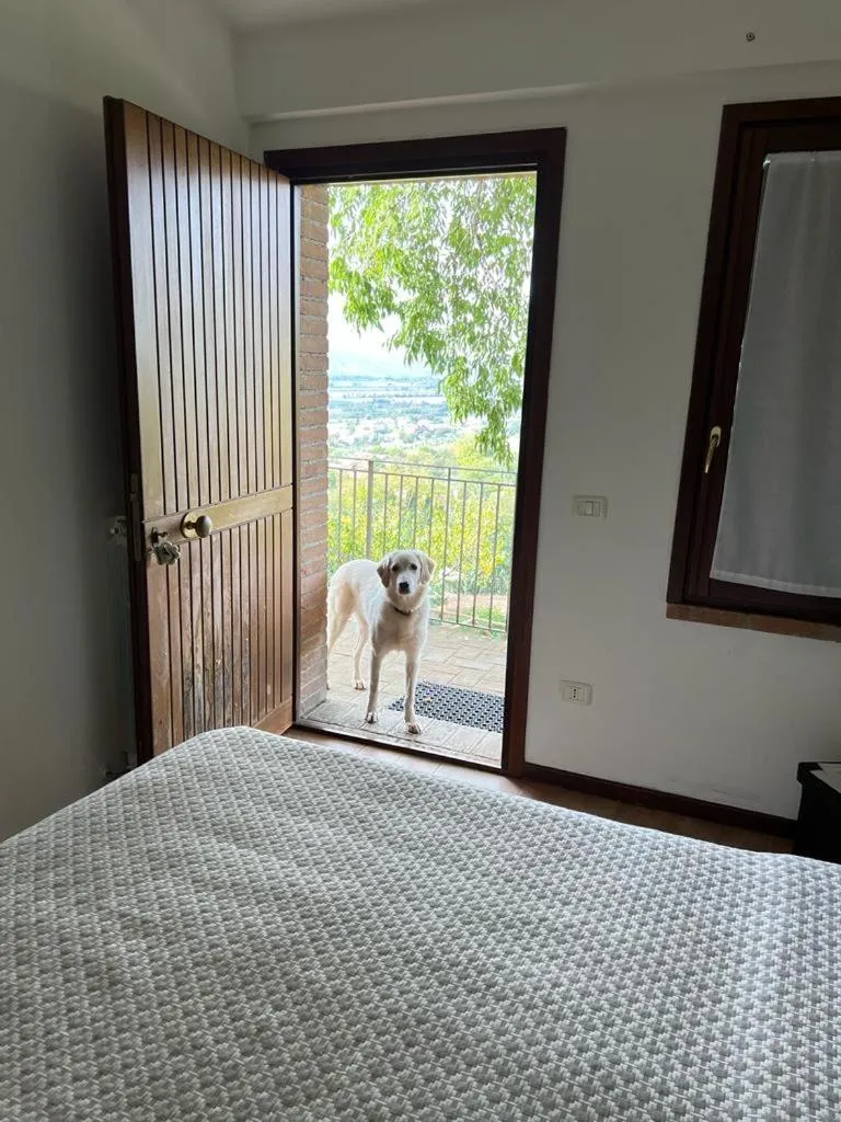 SetterHouseAgriHotel