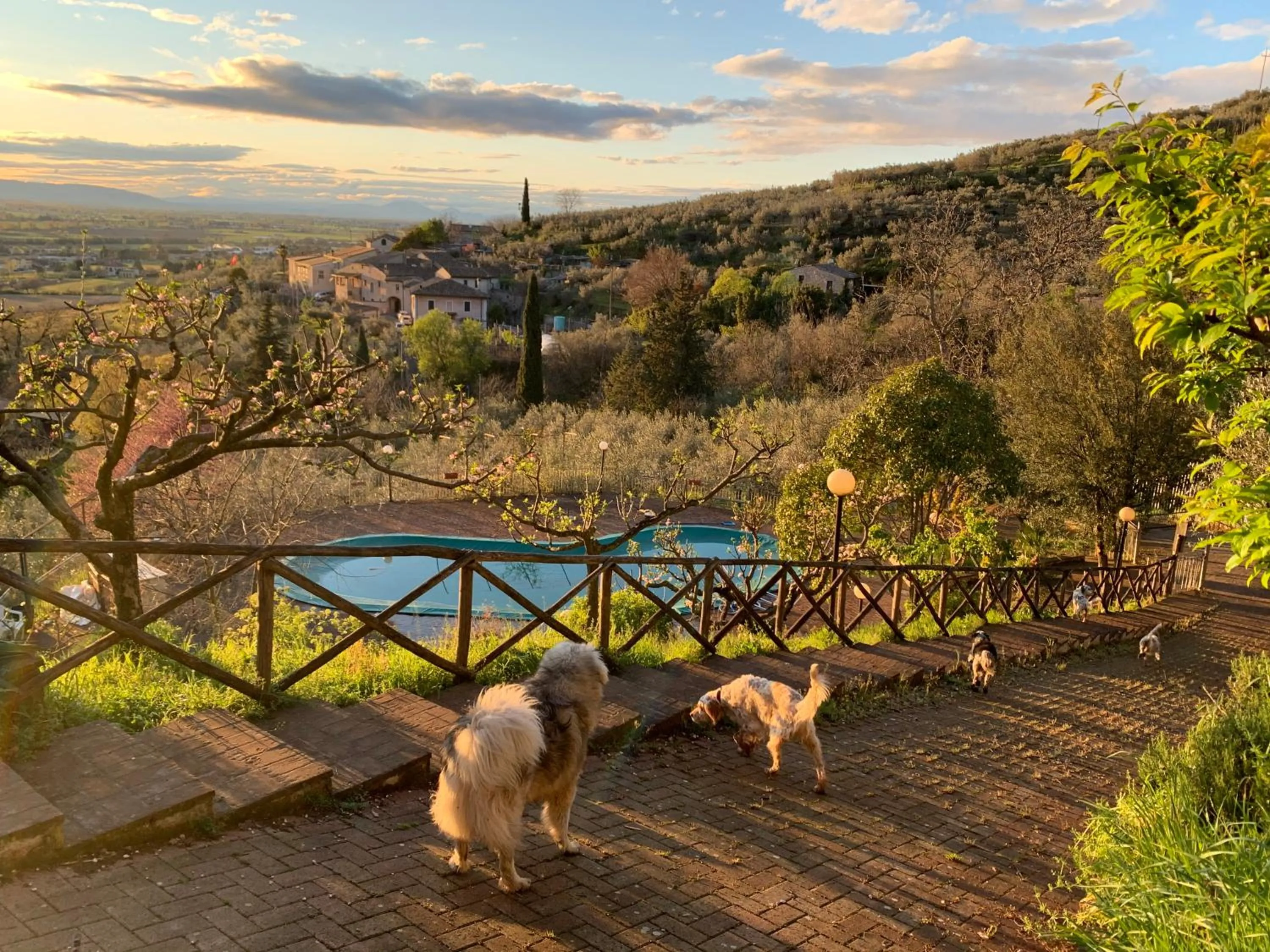 SetterHouseAgriHotel