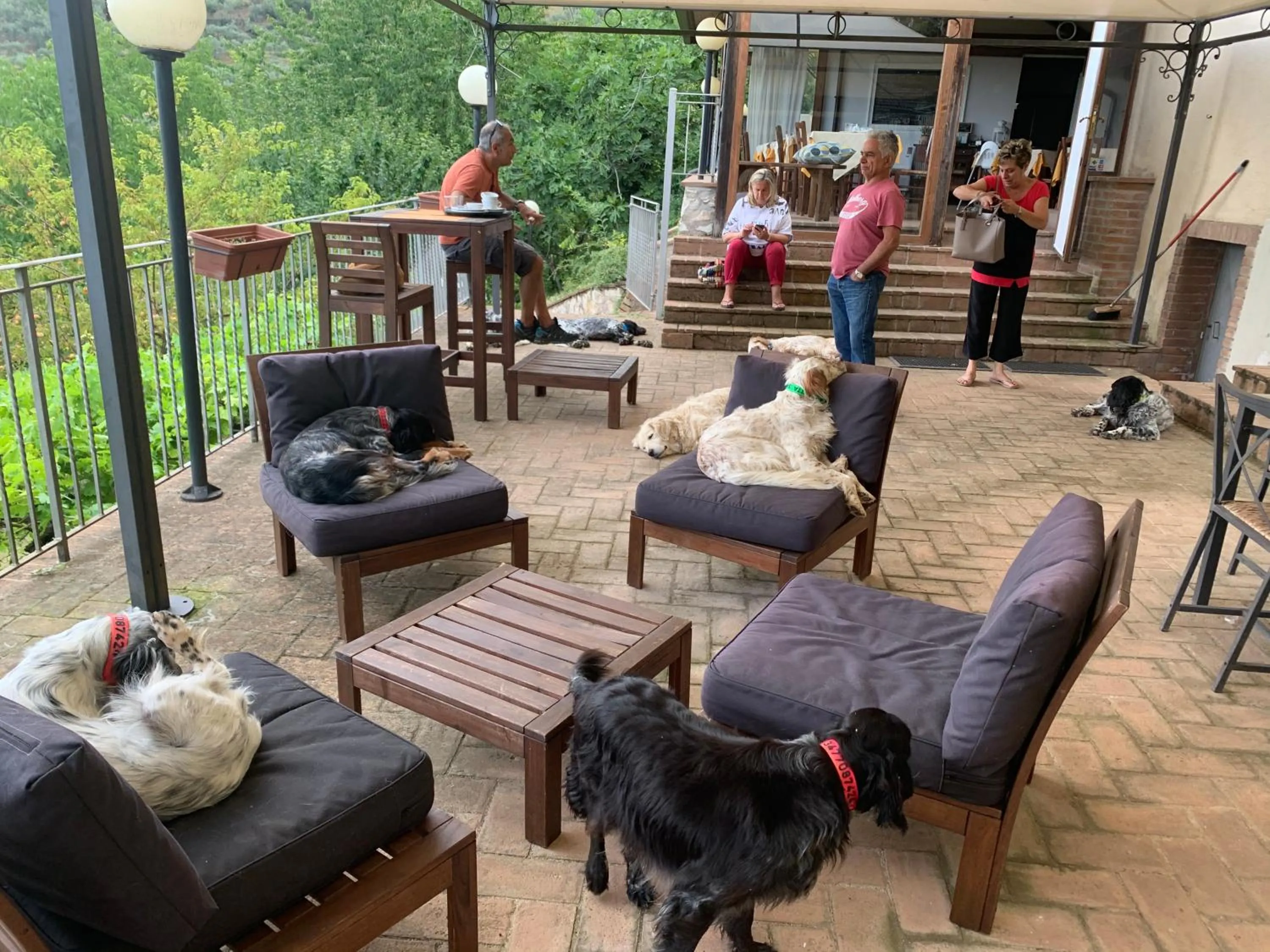 SetterHouseAgriHotel