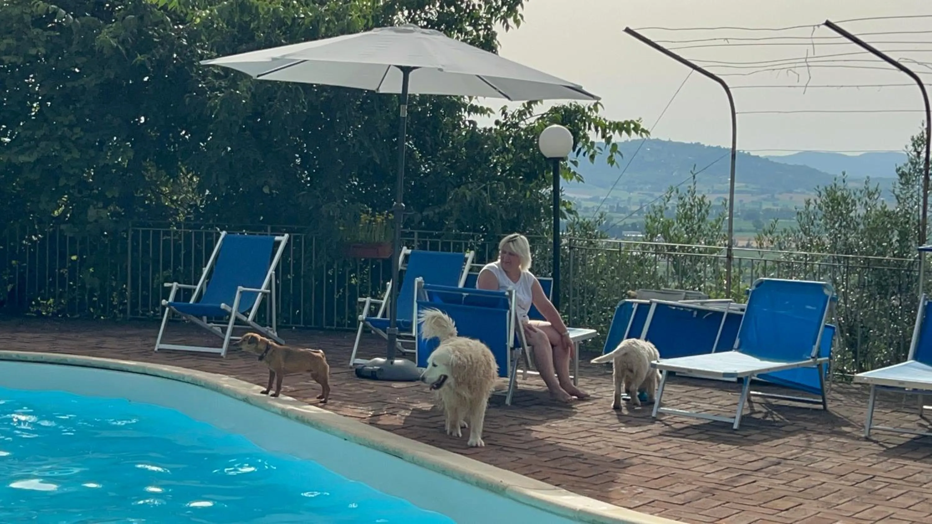 SetterHouseAgriHotel