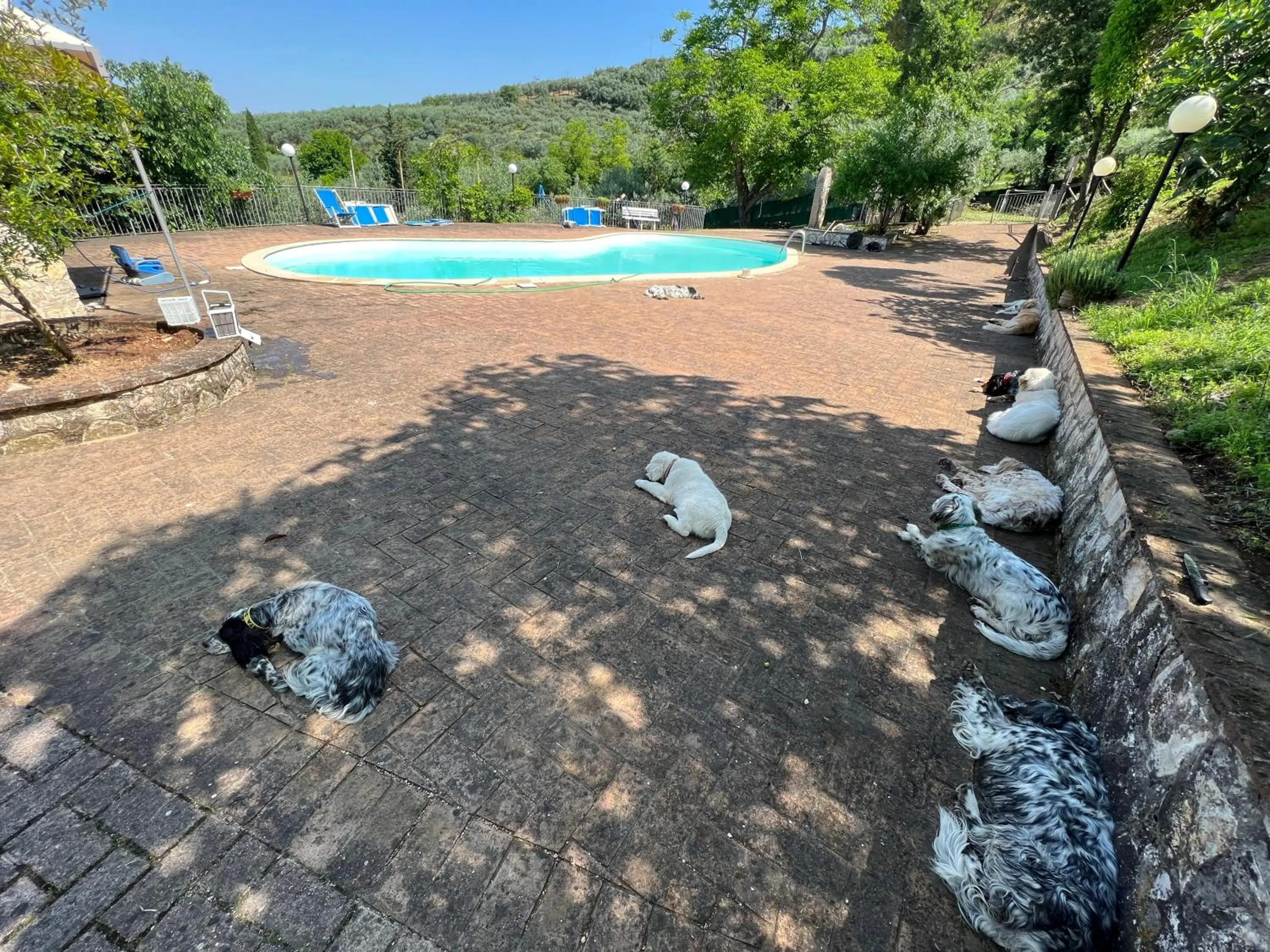 SetterHouseAgriHotel