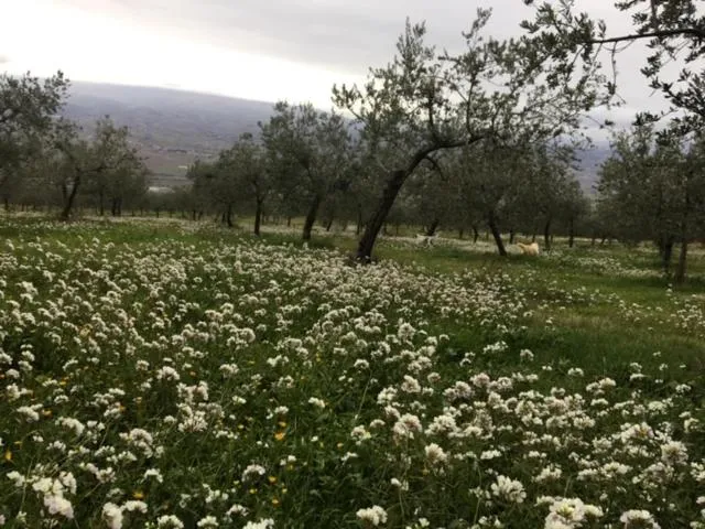 SetterHouseAgriHotel