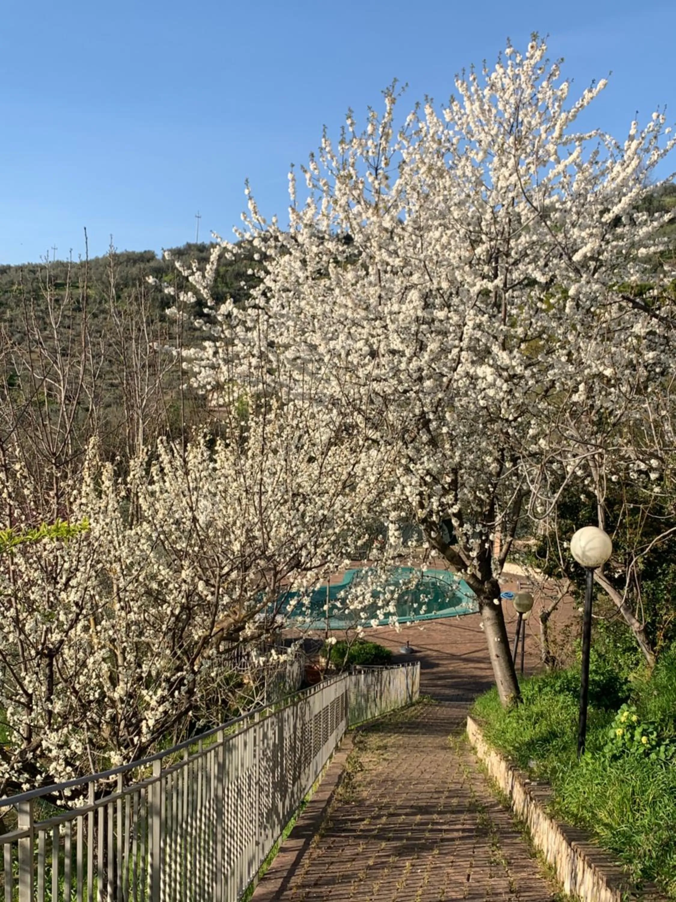 SetterHouseAgriHotel
