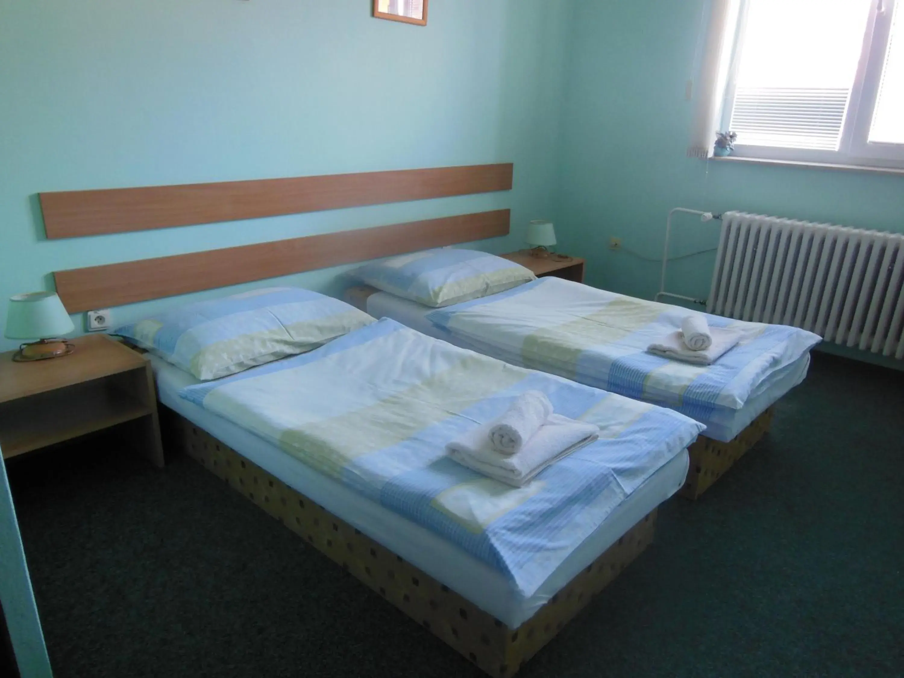Double or Twin Room in Penzion Premona Double or Twin Room in Penzion Premona