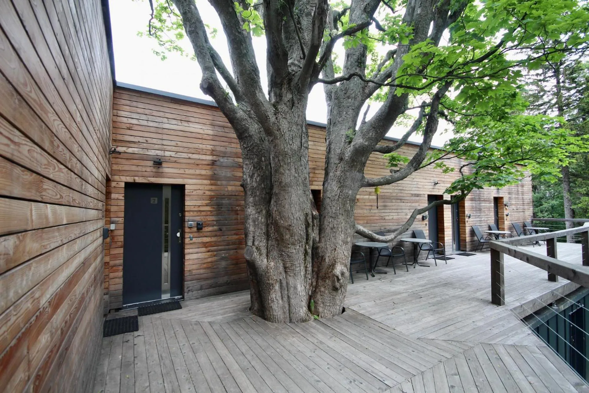 Facade/entrance in Flight Park Javorovy