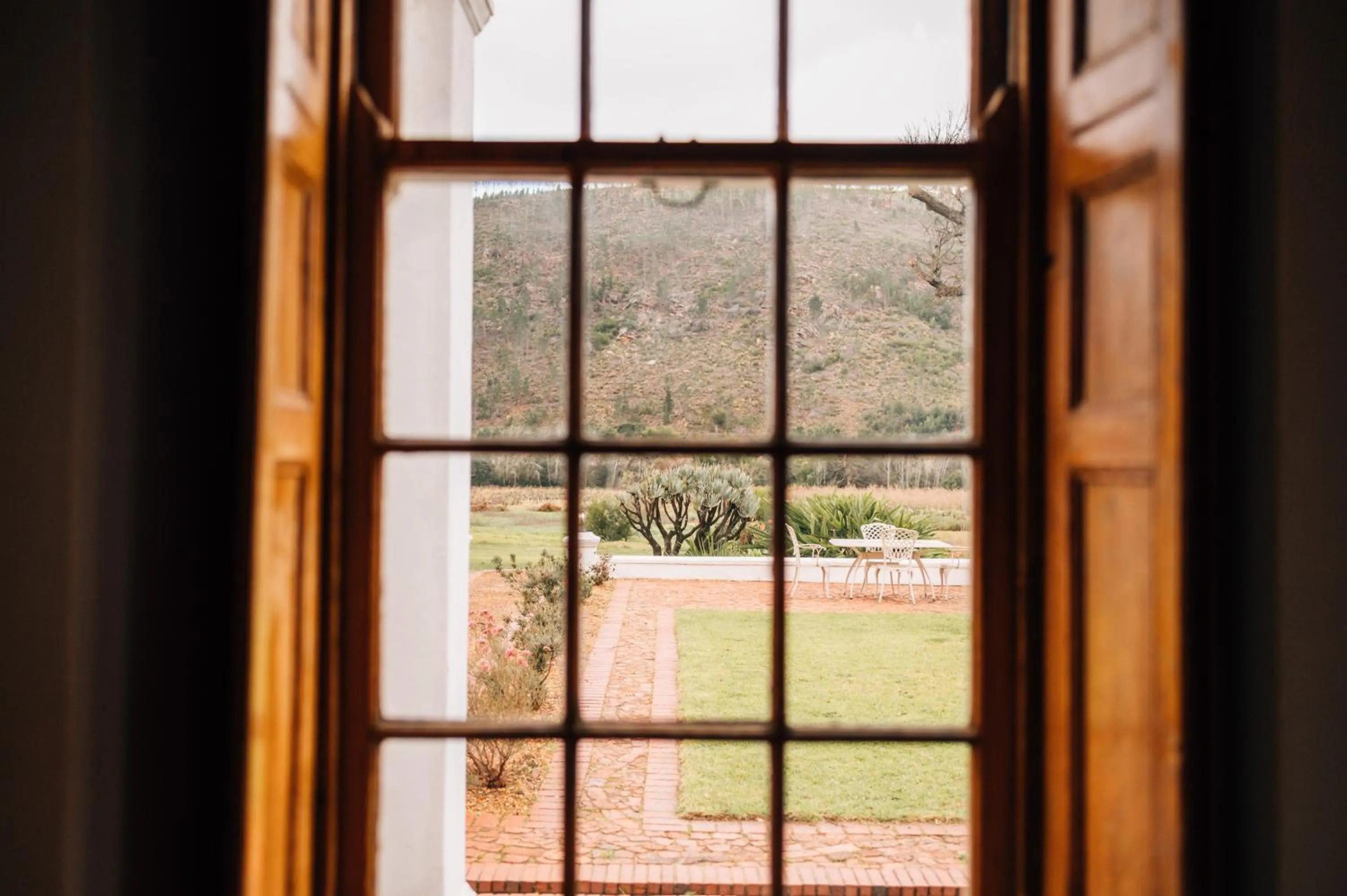 View (from property/room) in Basse Provence Country House