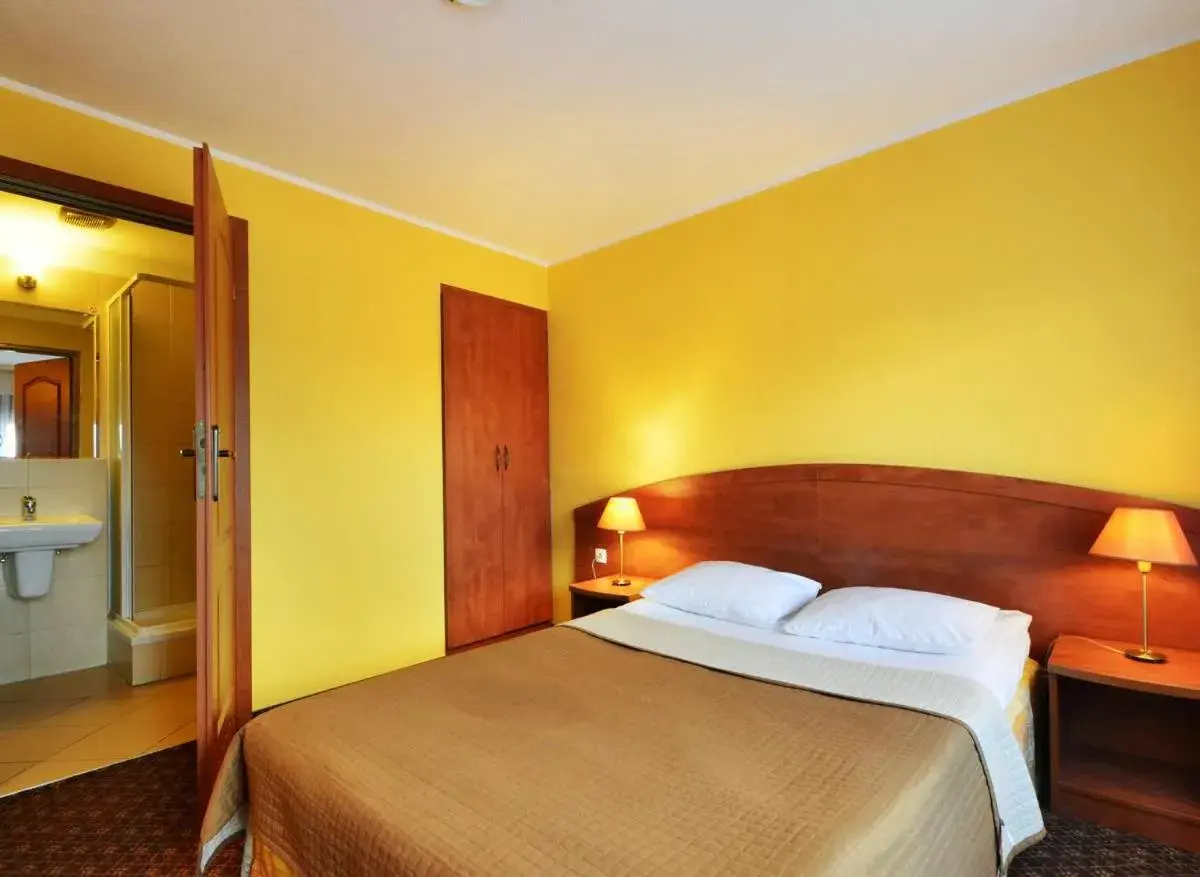 Standard Queen Room - single occupancy in Hotel Astra Tajemniczy Ogród Standard Queen Room - single occupancy in Hotel Astra Tajemniczy Ogród