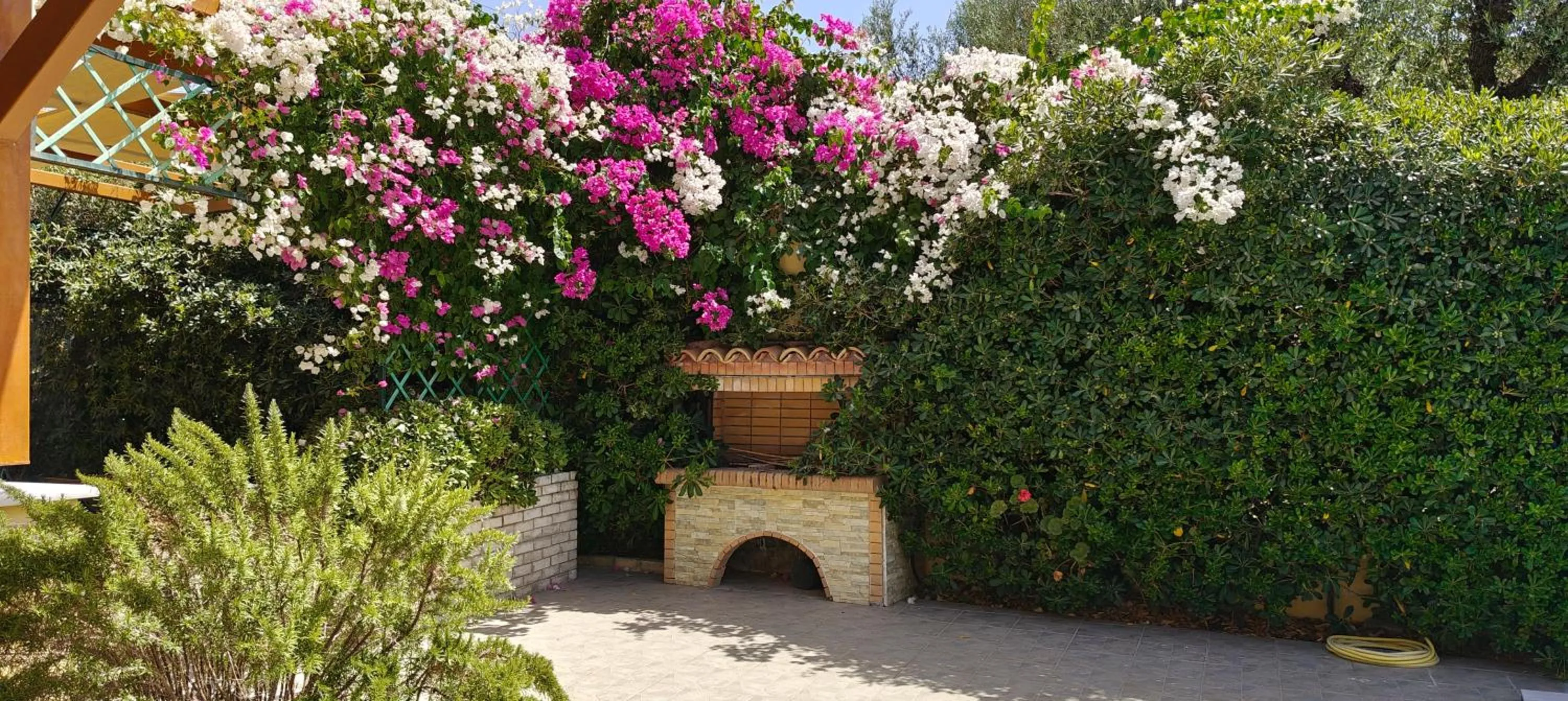 Muses Zante Villas