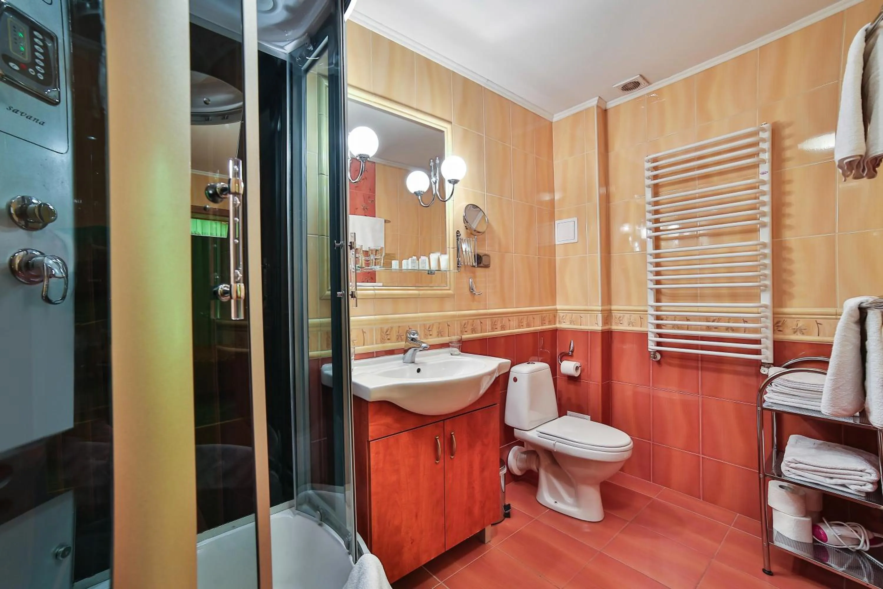 Shower in Hotel Wiosna