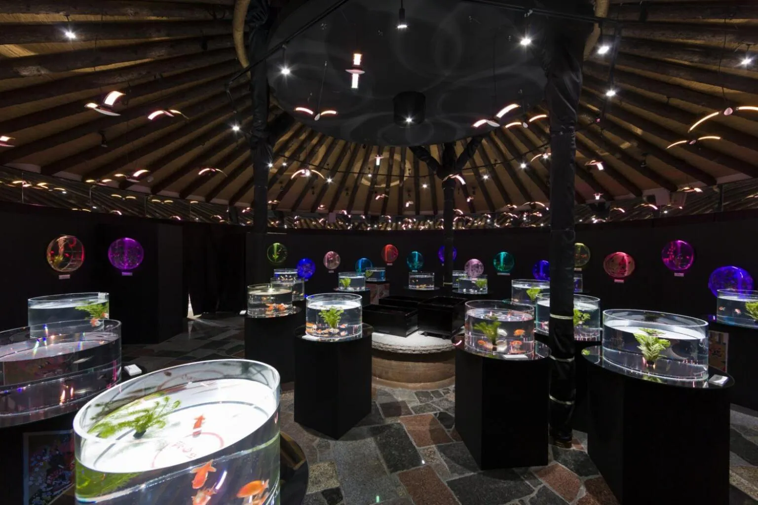 Gotemba Kogen Tokinosumika