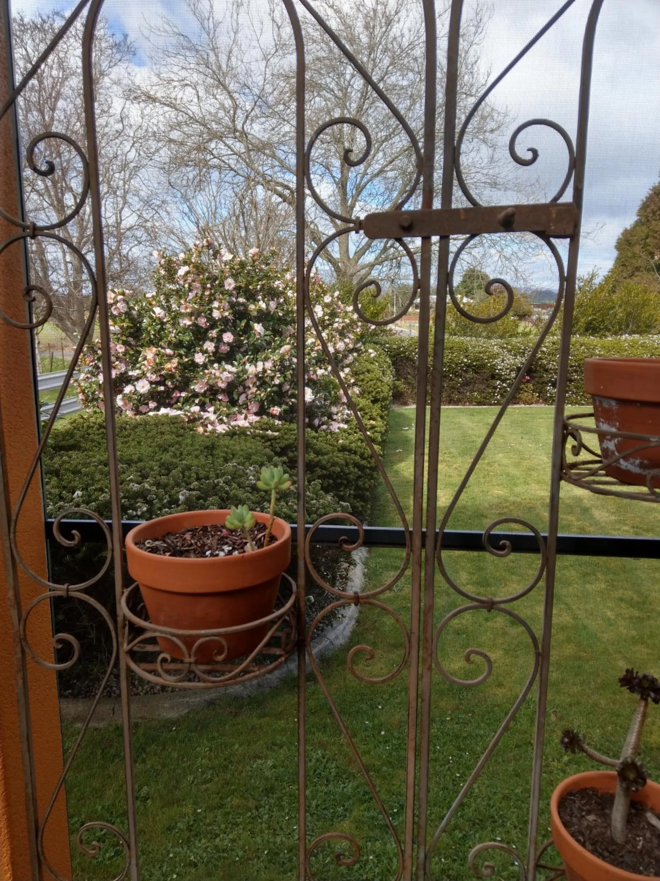 Garden view in Cradle at Casa Blanca Country Retreat
