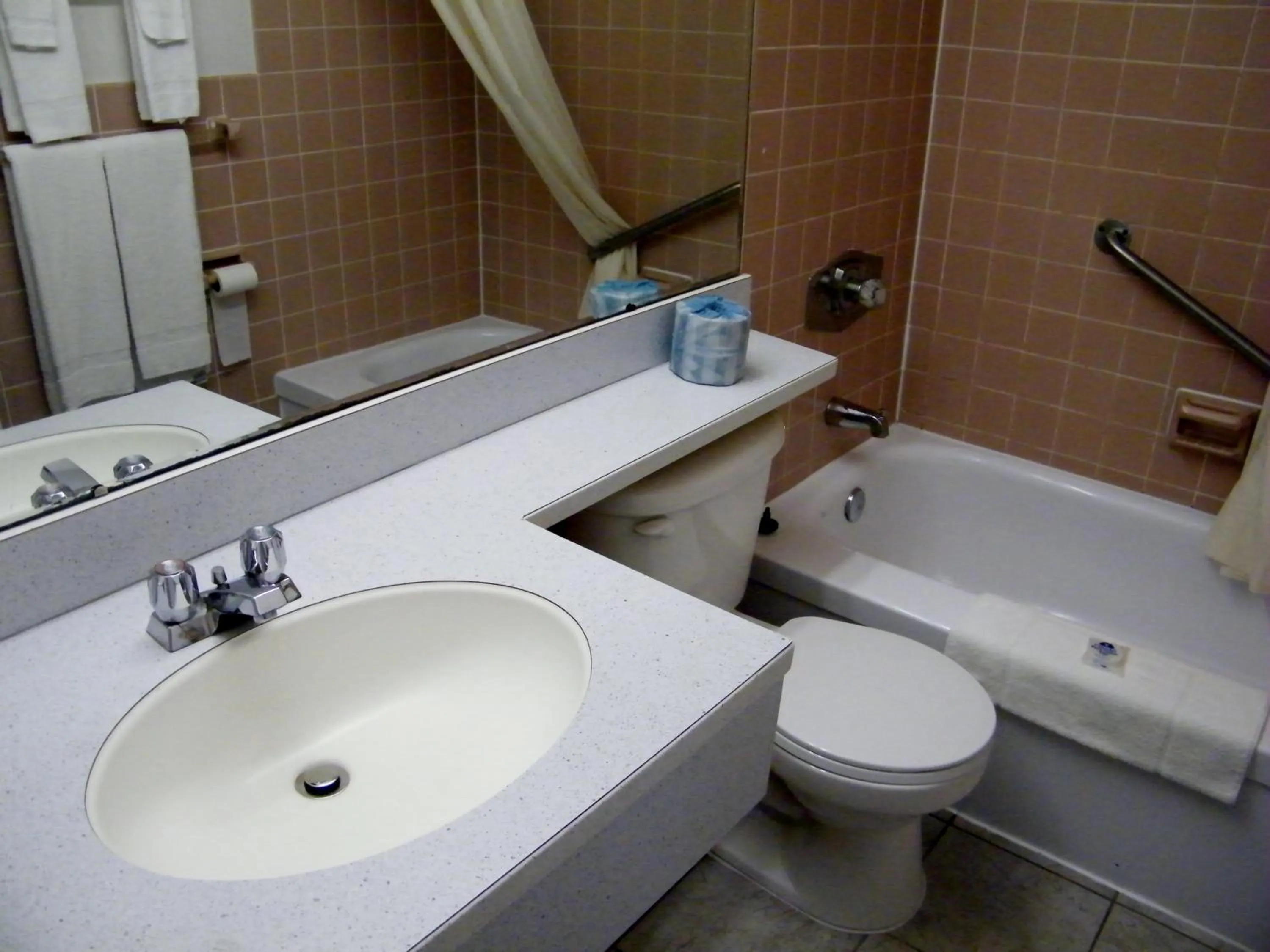 Bathroom in Canadas Best Value Inn & Suites Woodstock