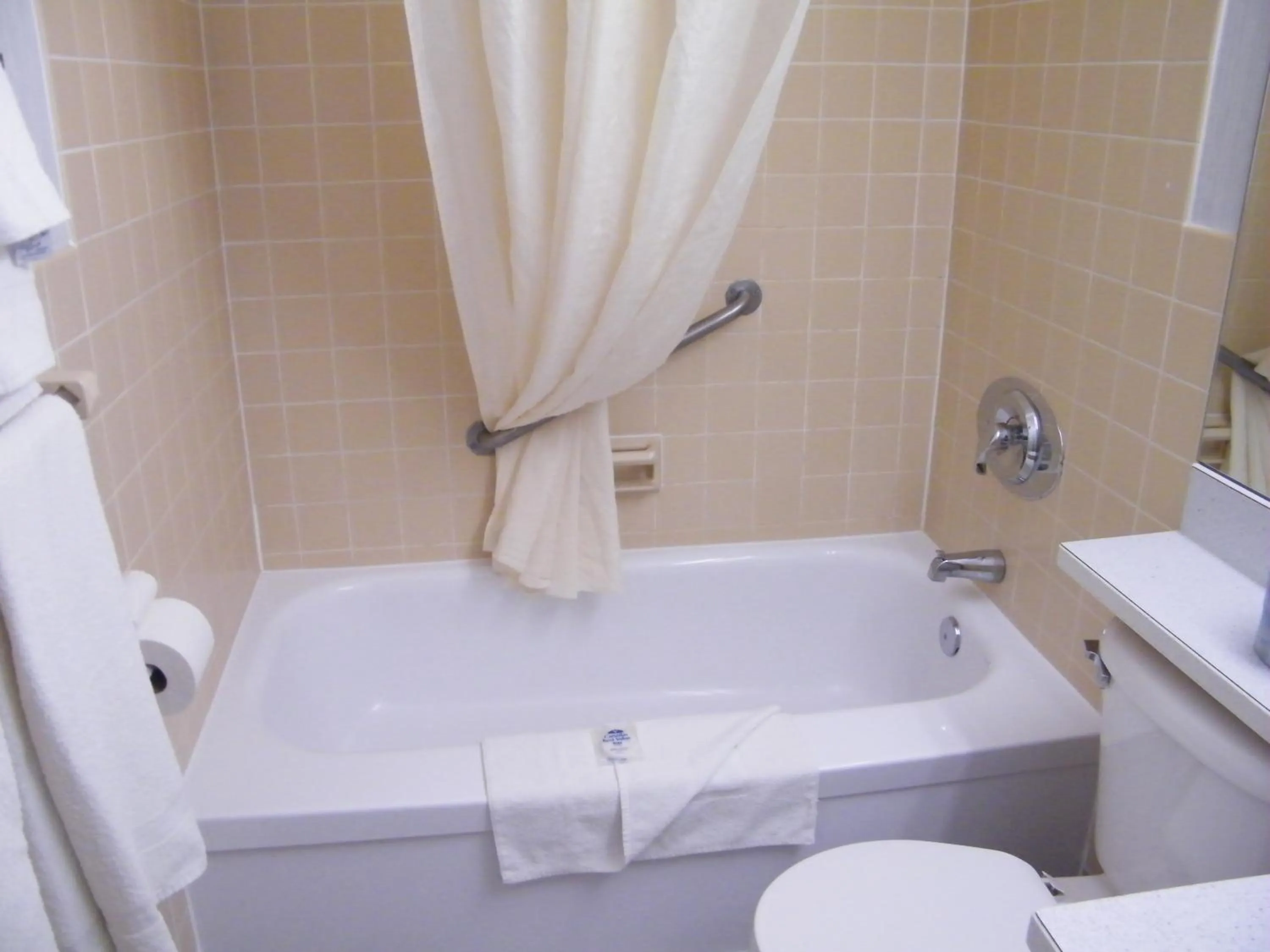 Bathroom in Canadas Best Value Inn & Suites Woodstock