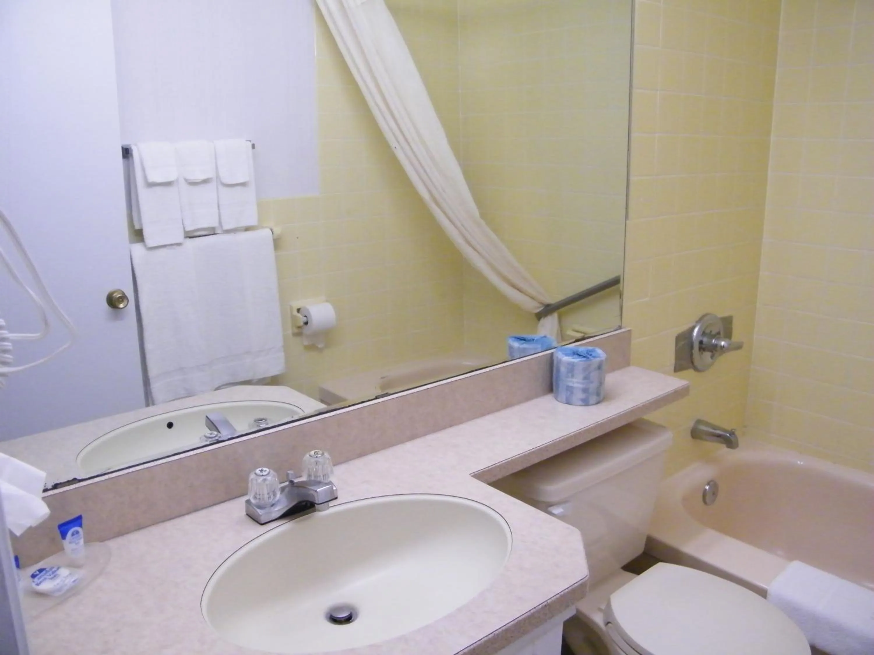 Bathroom in Canadas Best Value Inn & Suites Woodstock