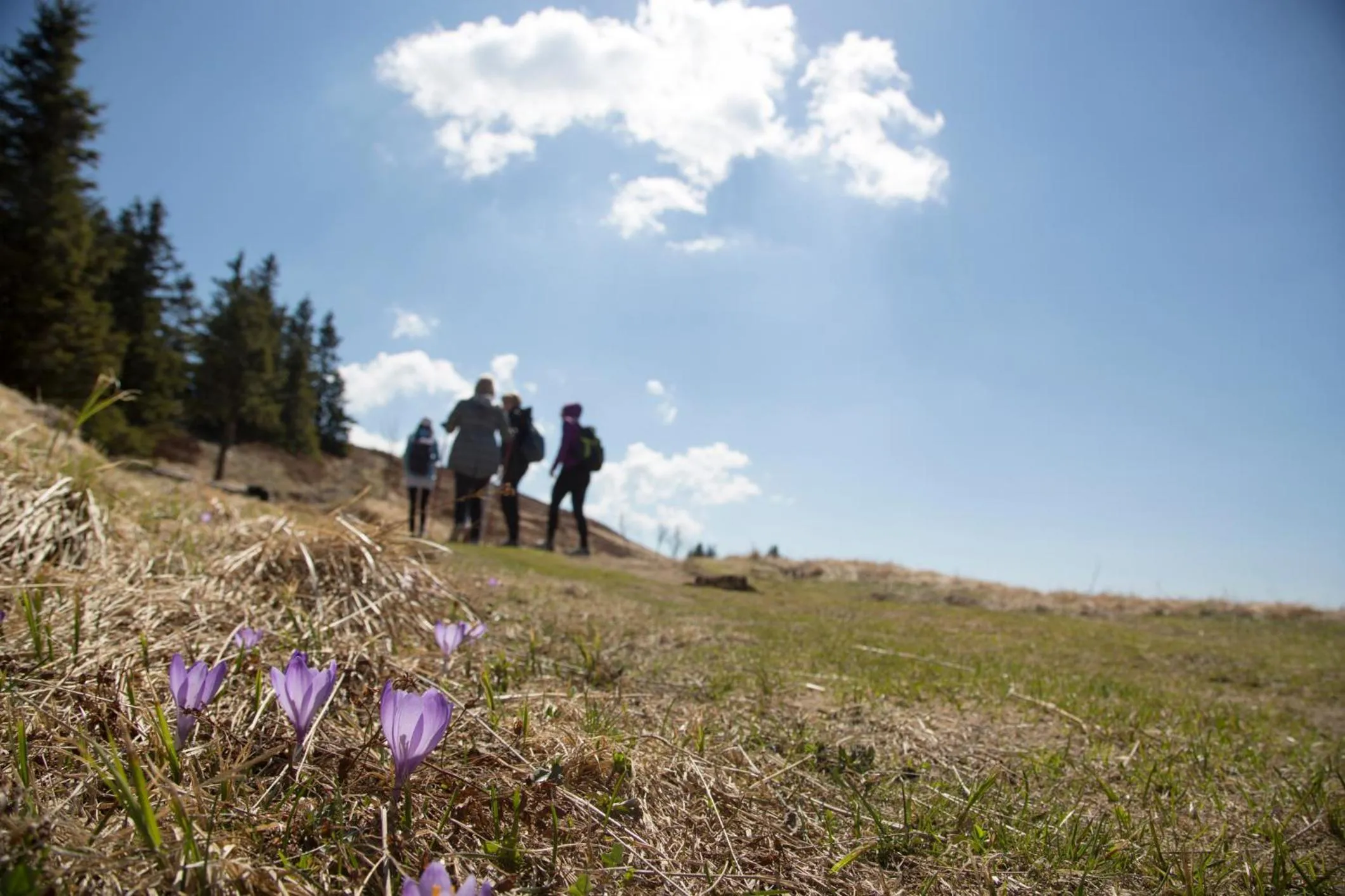 Spring in Lake Peak Apartments, Ribniško Pohorje