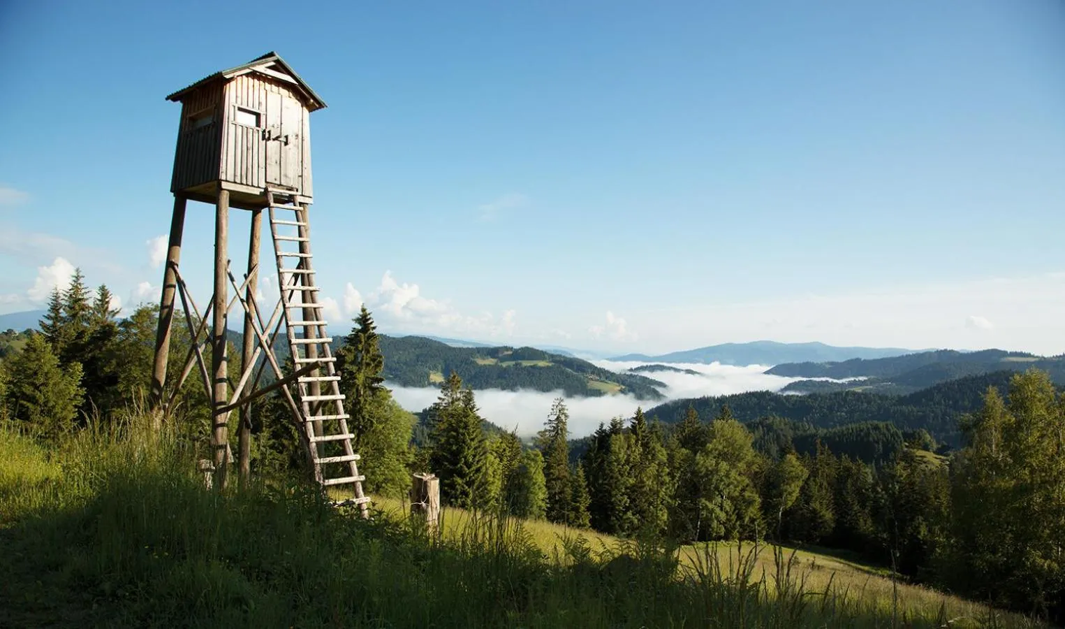 Nearby landmark in Lake Peak Apartments, Ribniško Pohorje