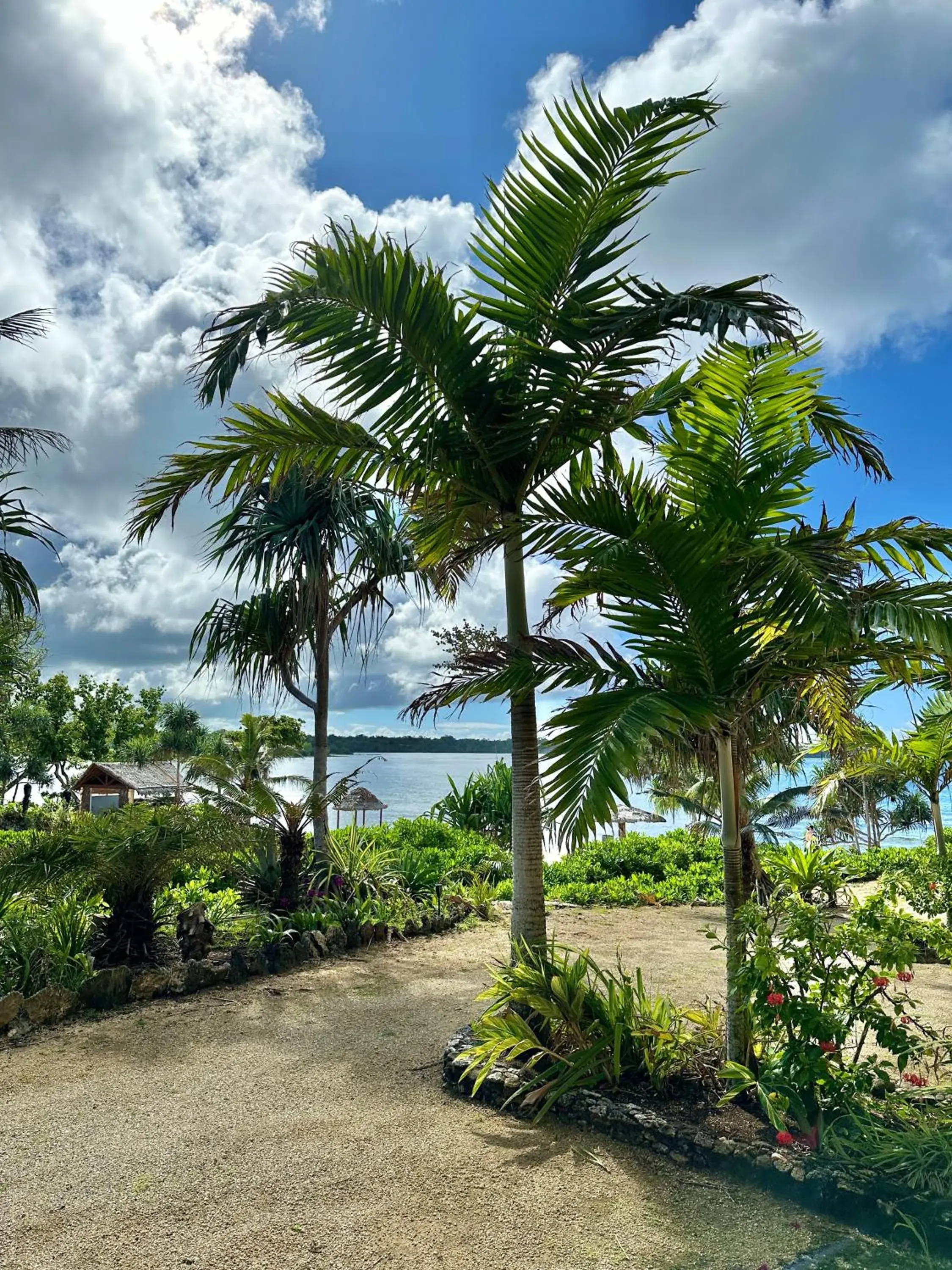 Garden view in Nasama Resort Garden view in Nasama Resort