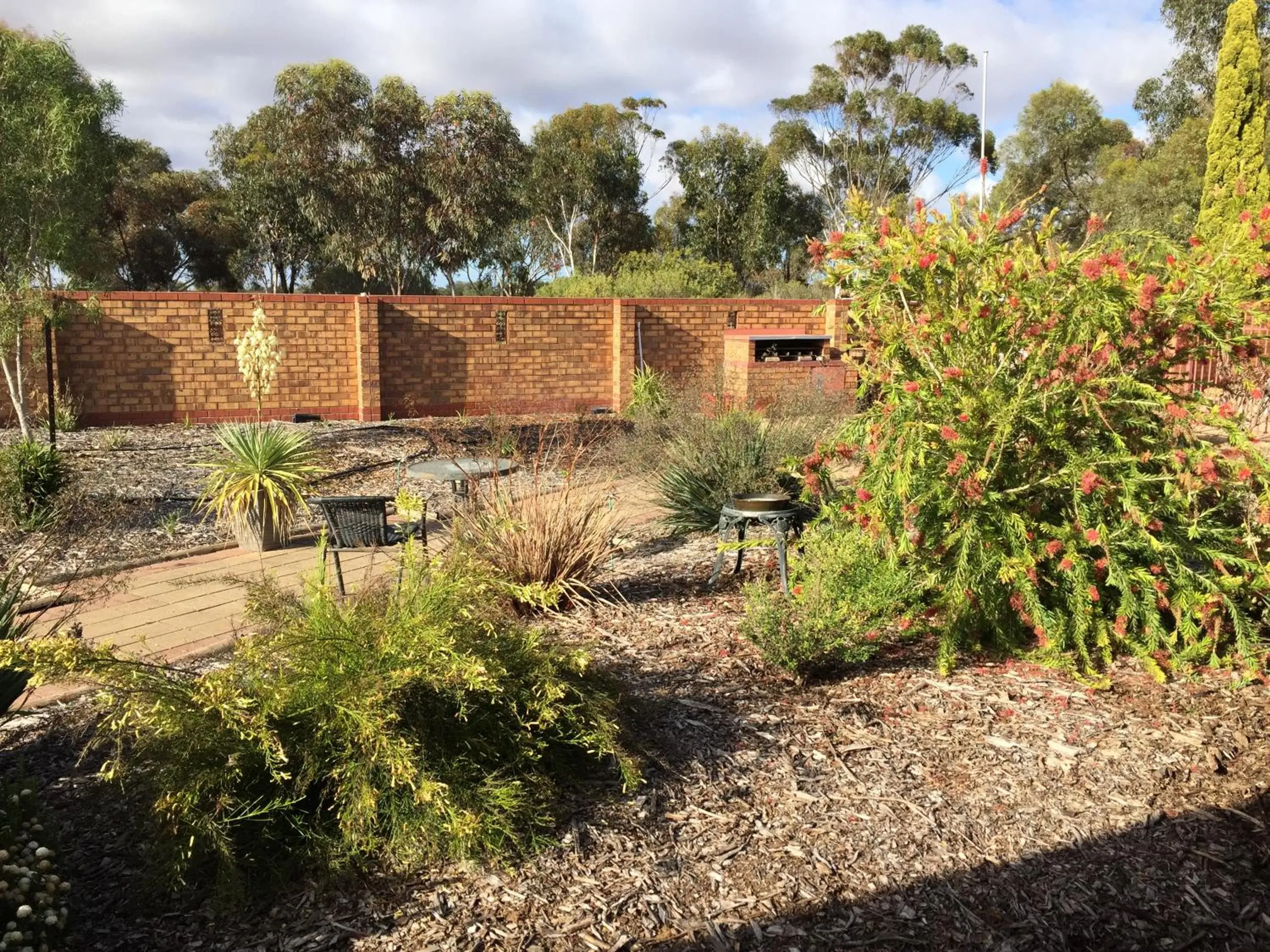 Deluxe Double or Twin Room - single occupancy - Pool View in Kadina Gateway Motor Inn Deluxe Double or Twin Room - single occupancy - Pool View in Kadina Gateway Motor Inn