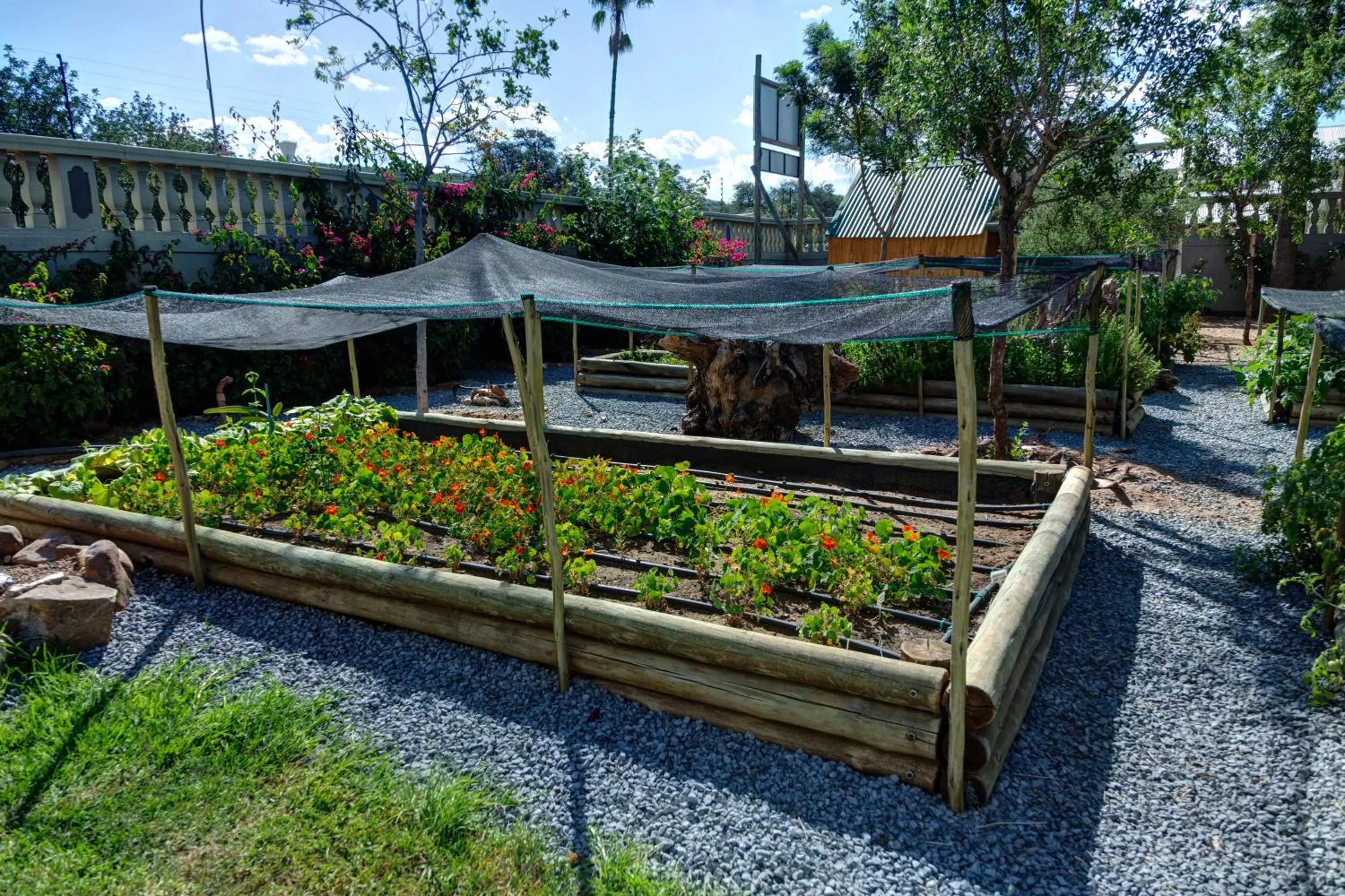 Garden in Na’ankusê @ Utopia