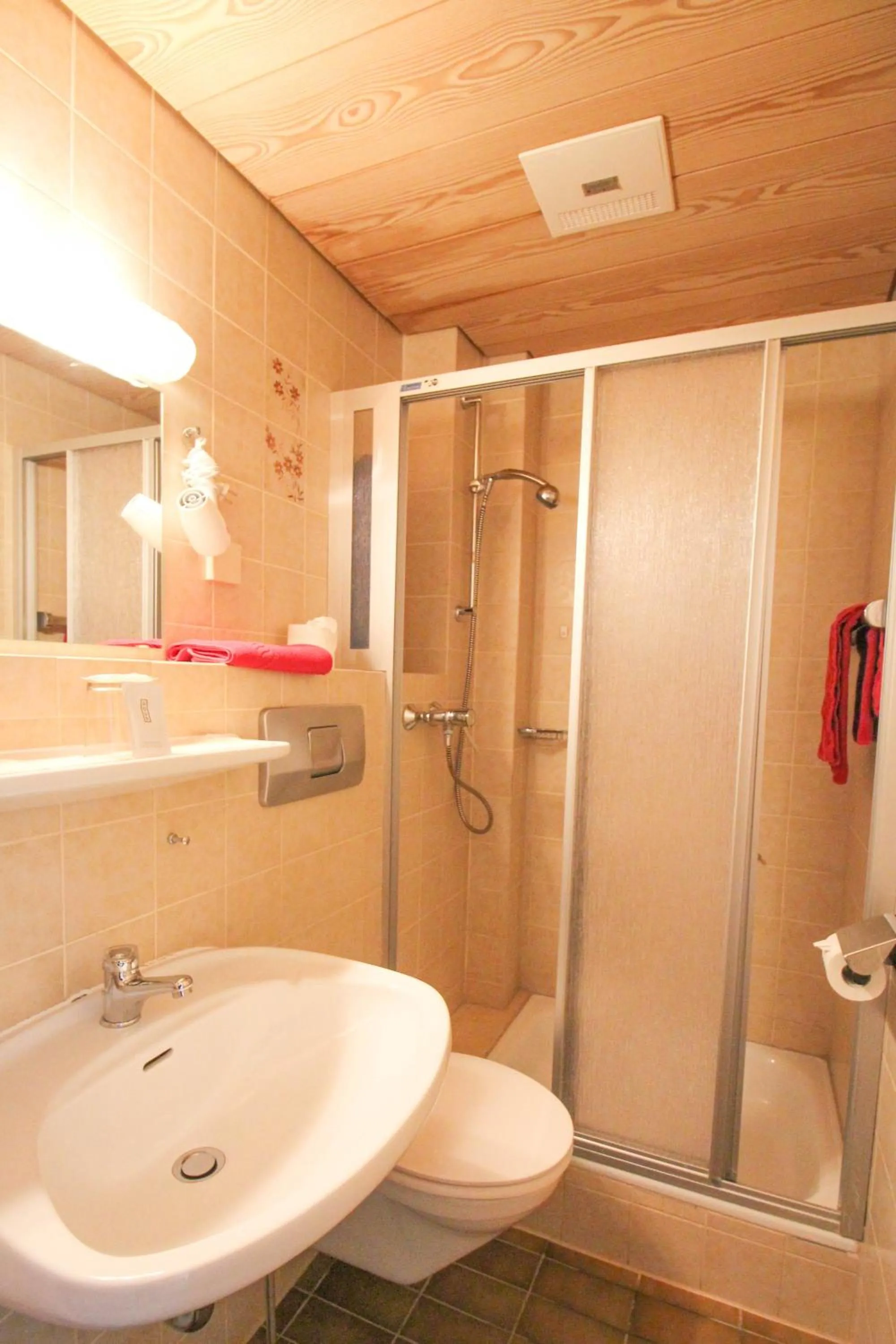 Shower in Kurhotel Roswitha