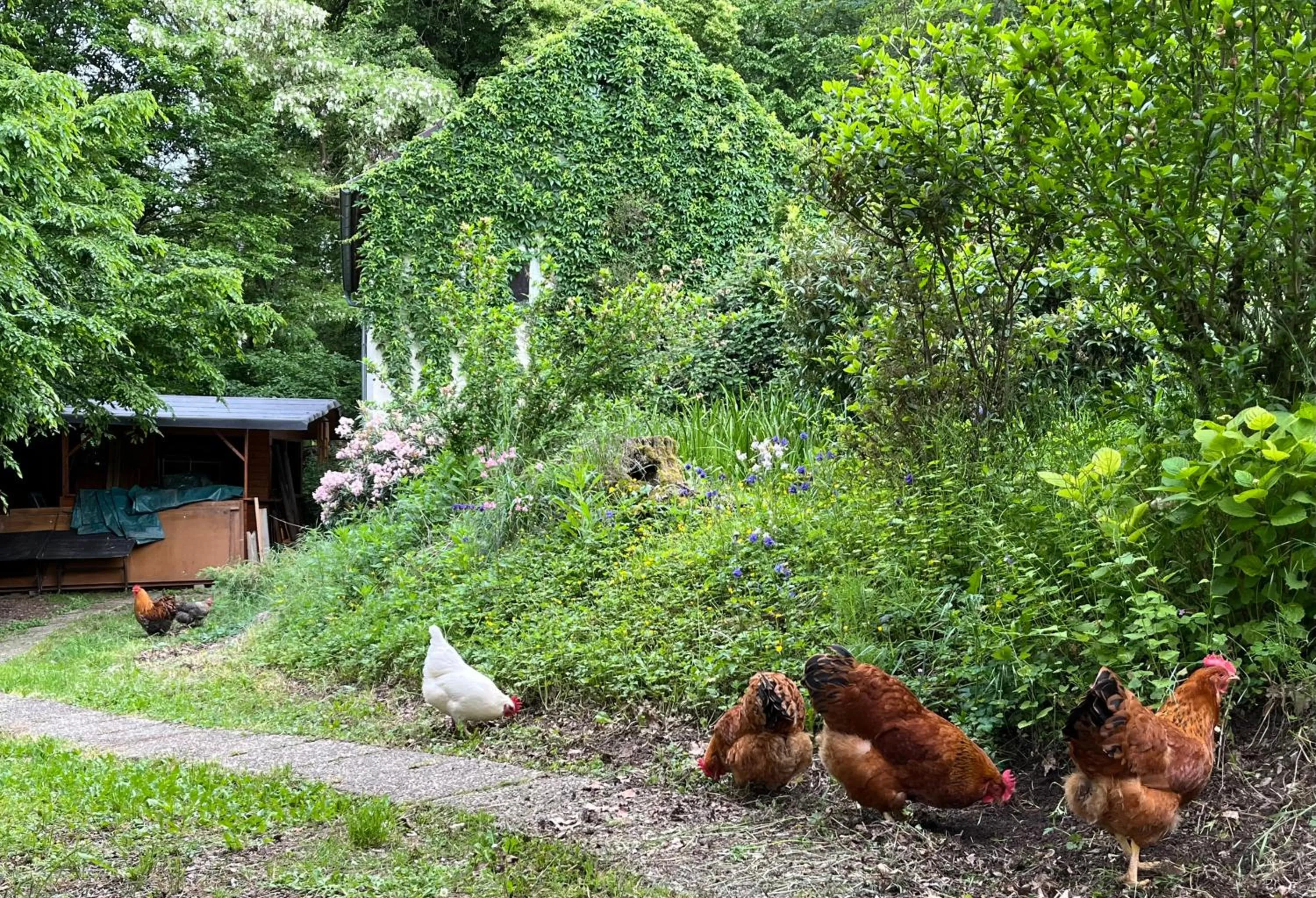 Hotel-Restaurant Berghof