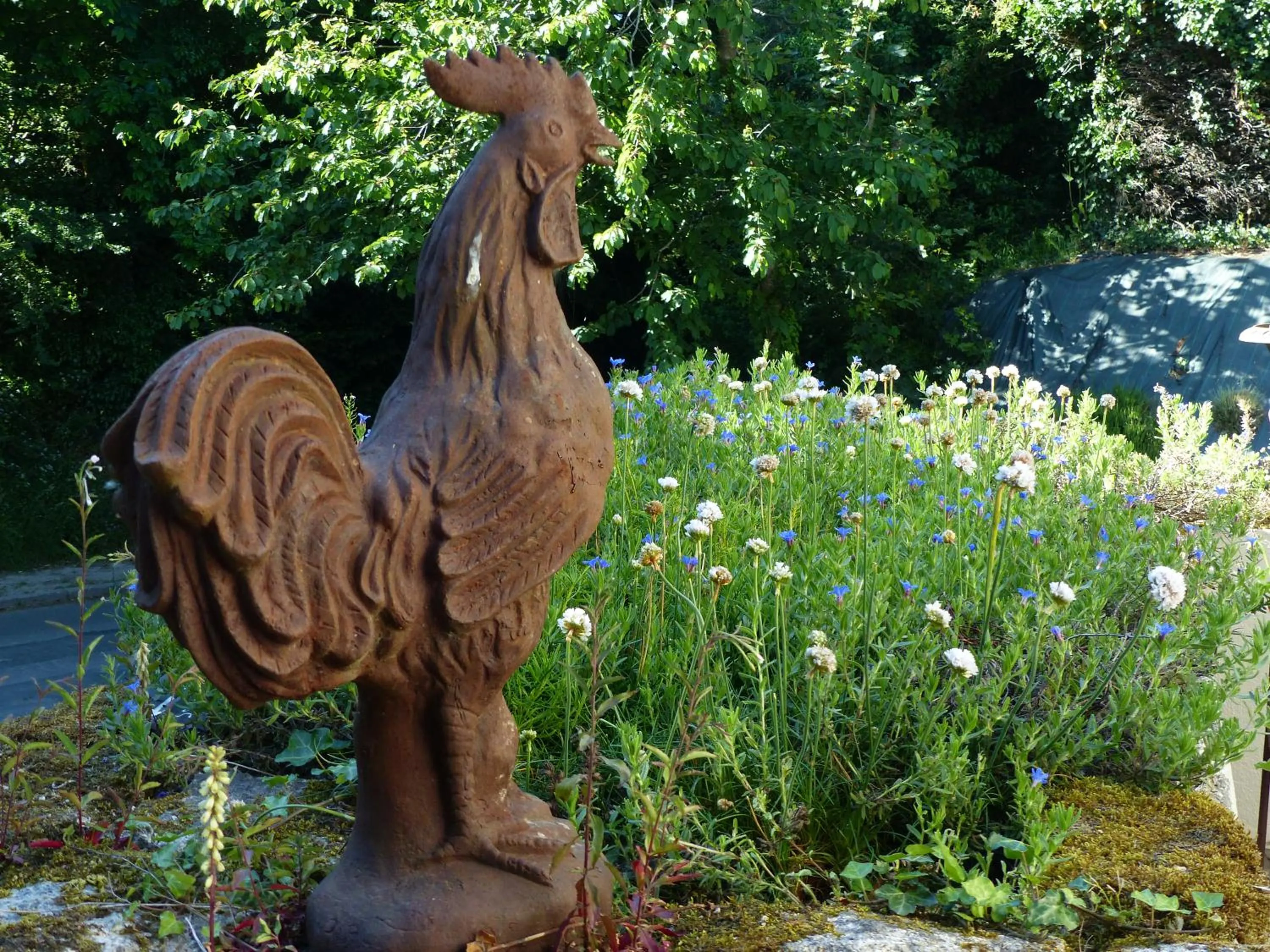 Garden in Ailes et Iles