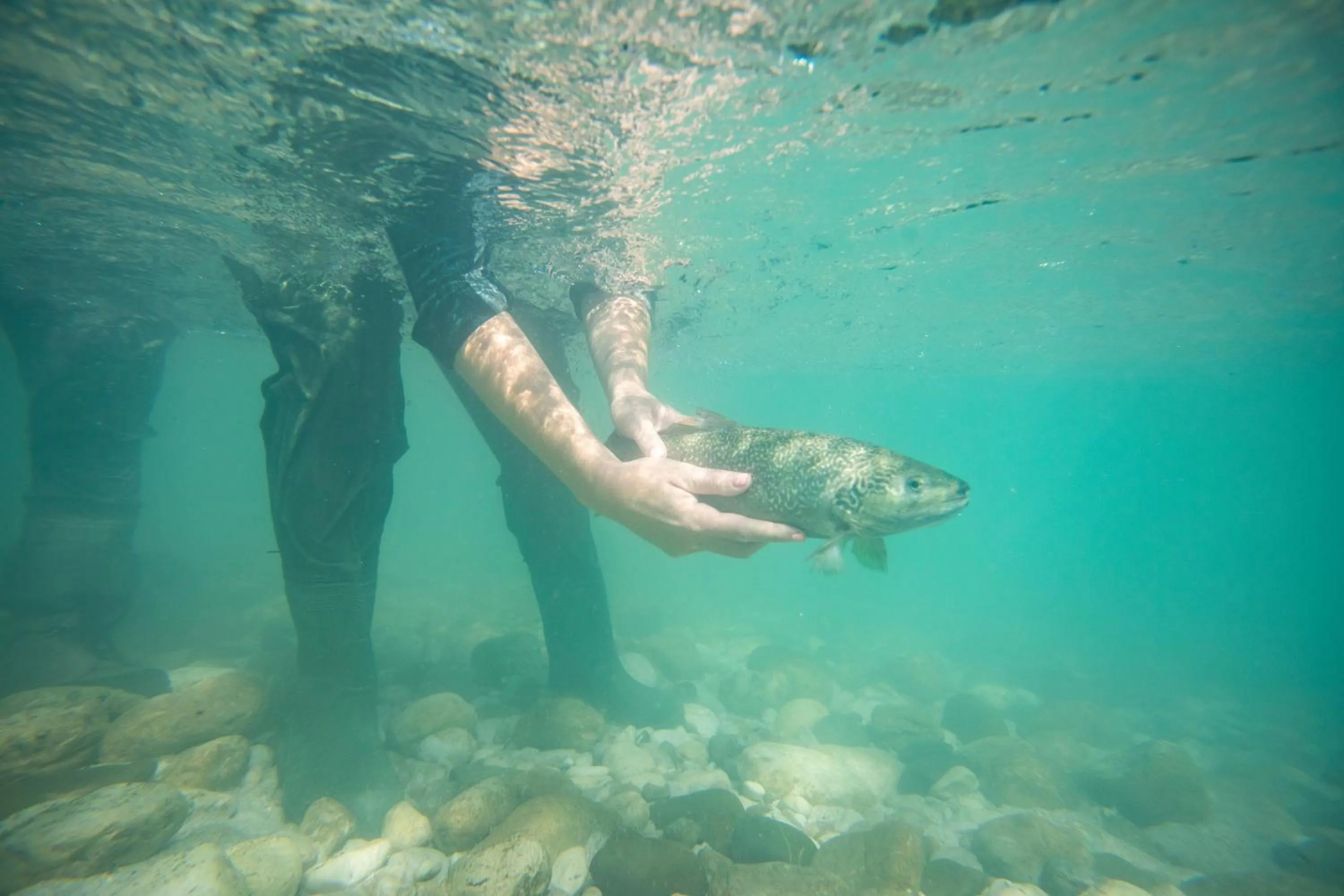 Fishing in Nebesa Chalets