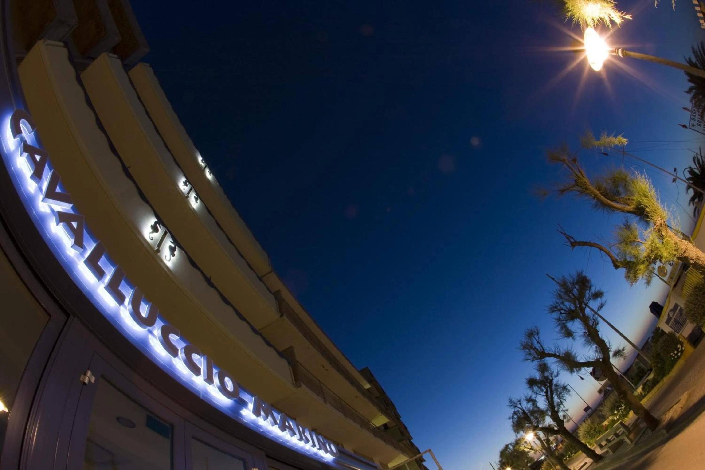 Property building in Hotel Cavalluccio Marino