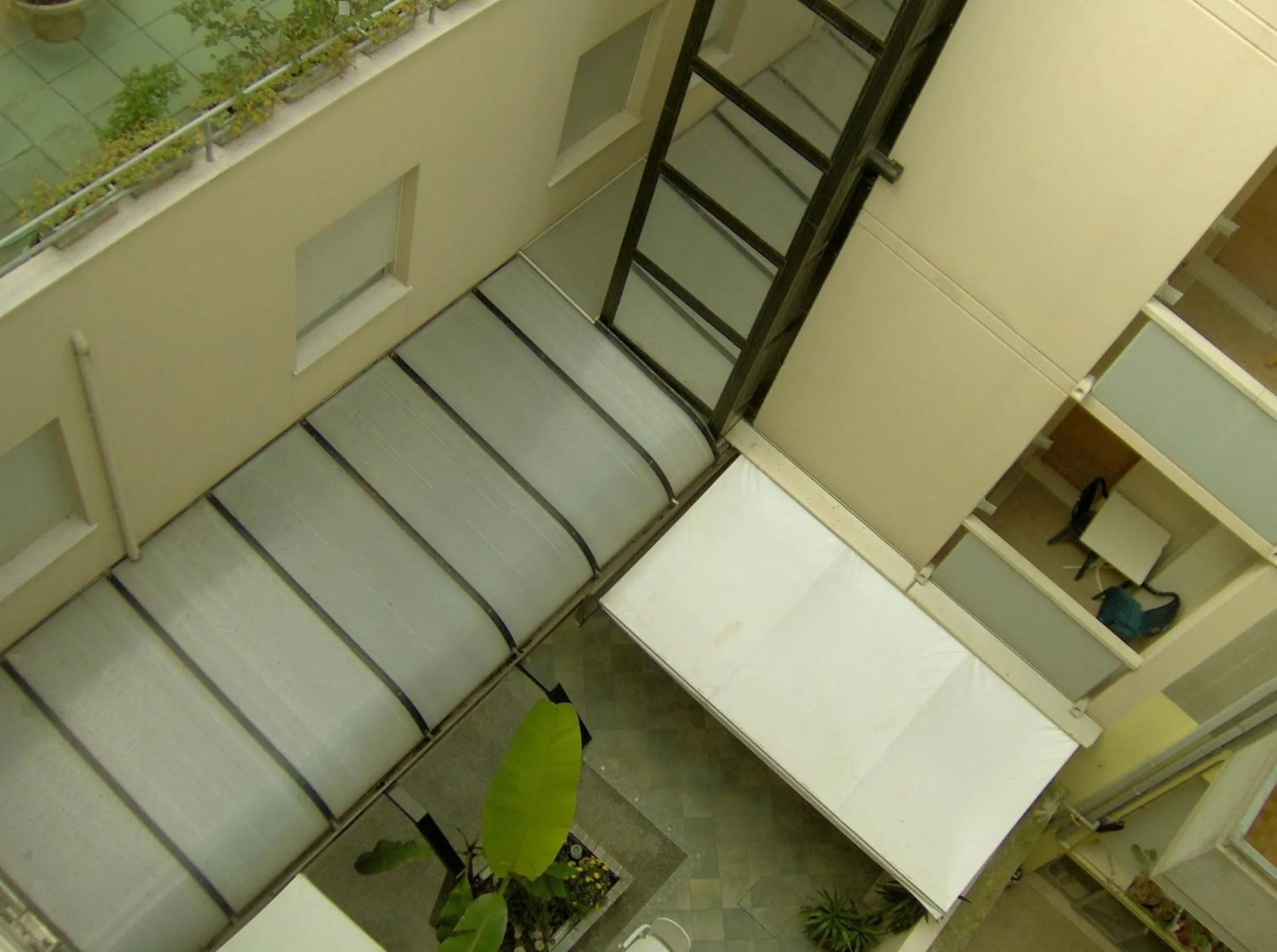 Property building in Hotel Cavalluccio Marino