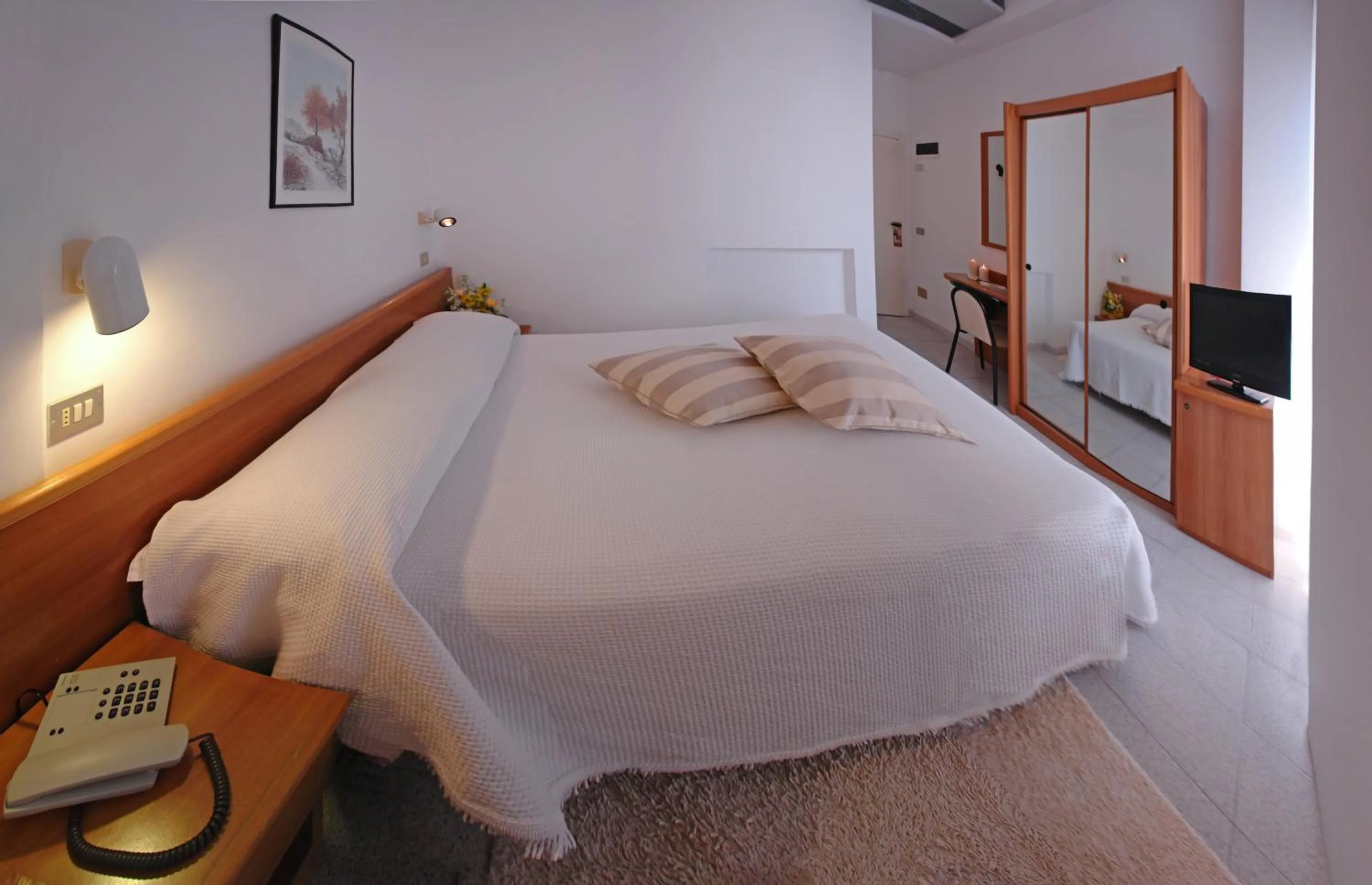 Photo of the whole room in Hotel Cavalluccio Marino