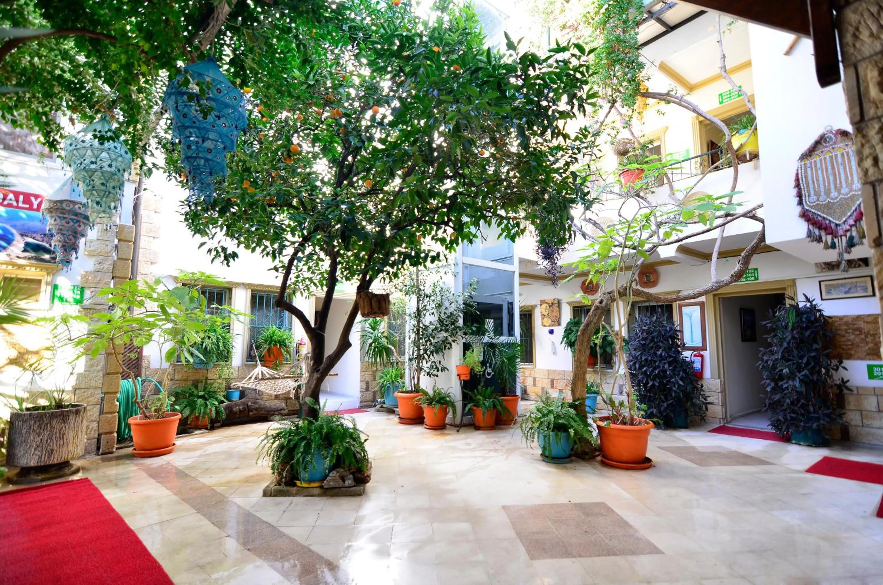 Garden in Sevin Hotel Pension