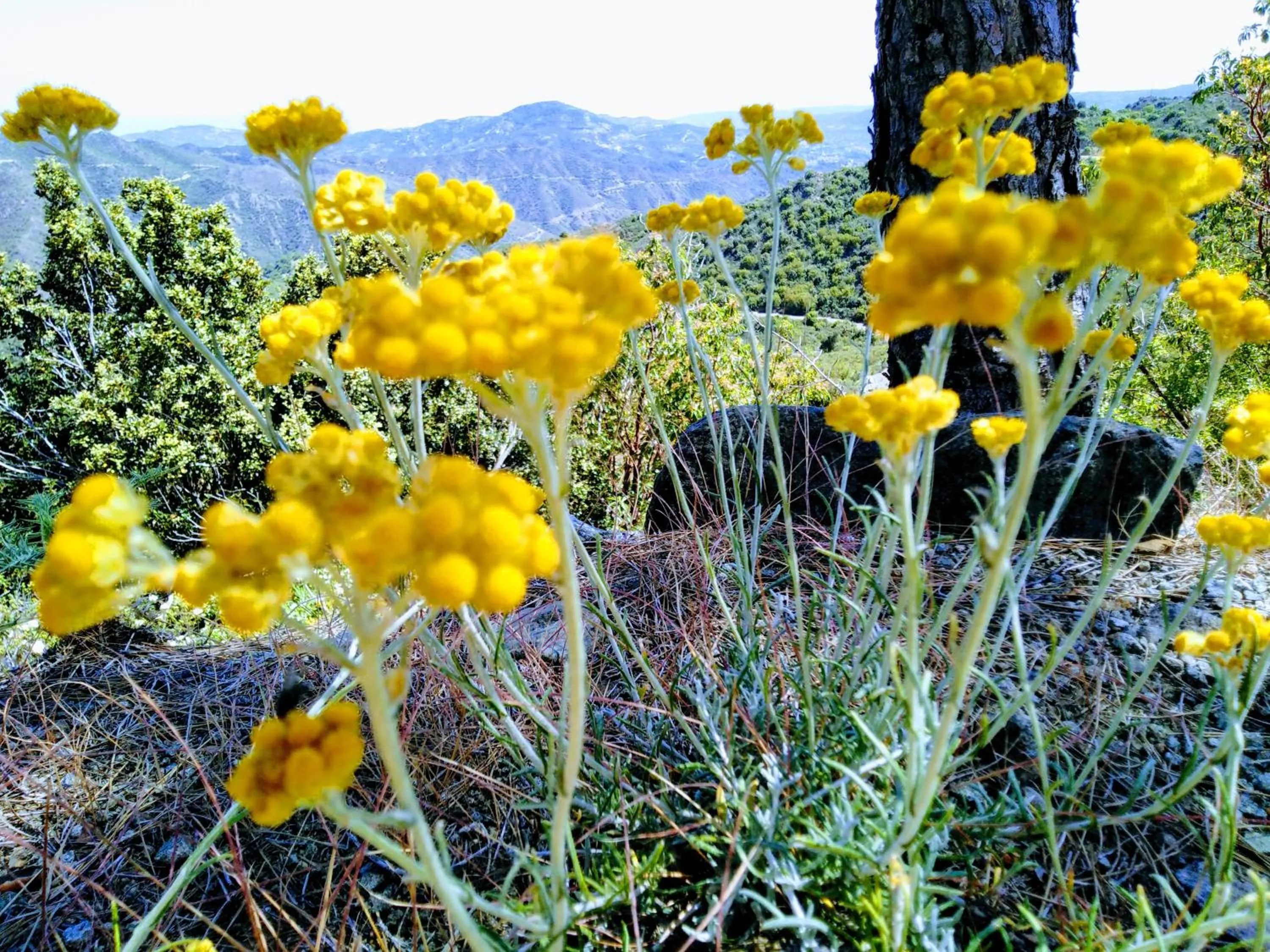 Nearby landmark in Christys Palace Hotel