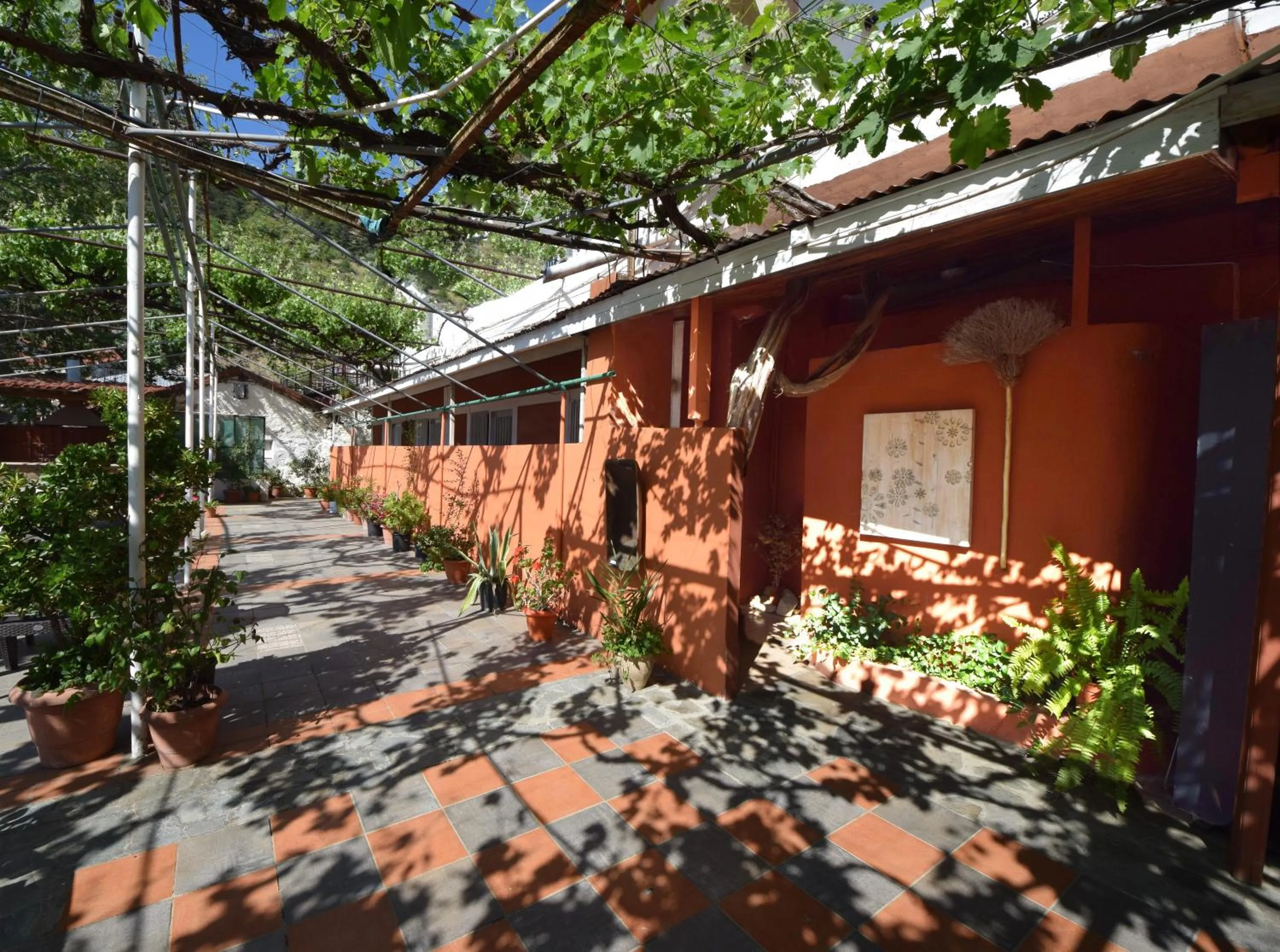Garden in Christys Palace Hotel