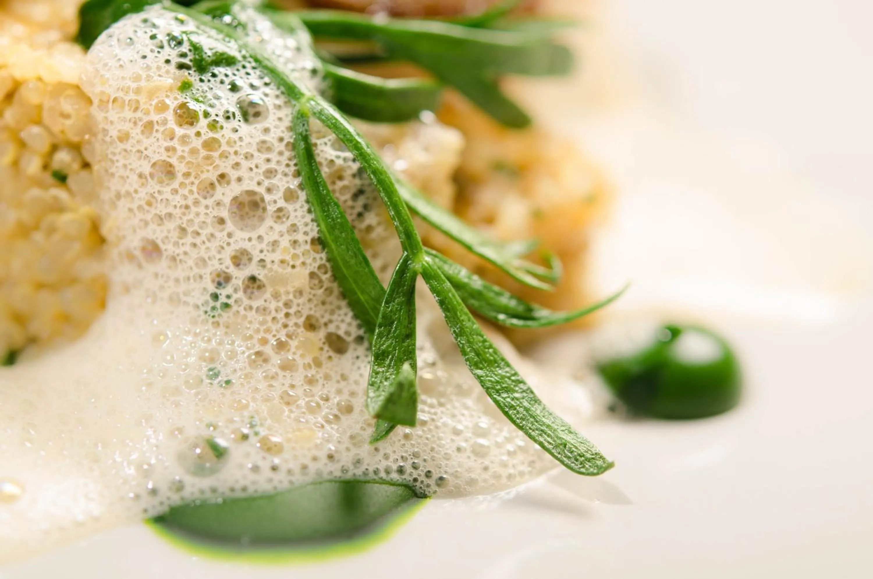 Food close-up in The Dog At Wingham