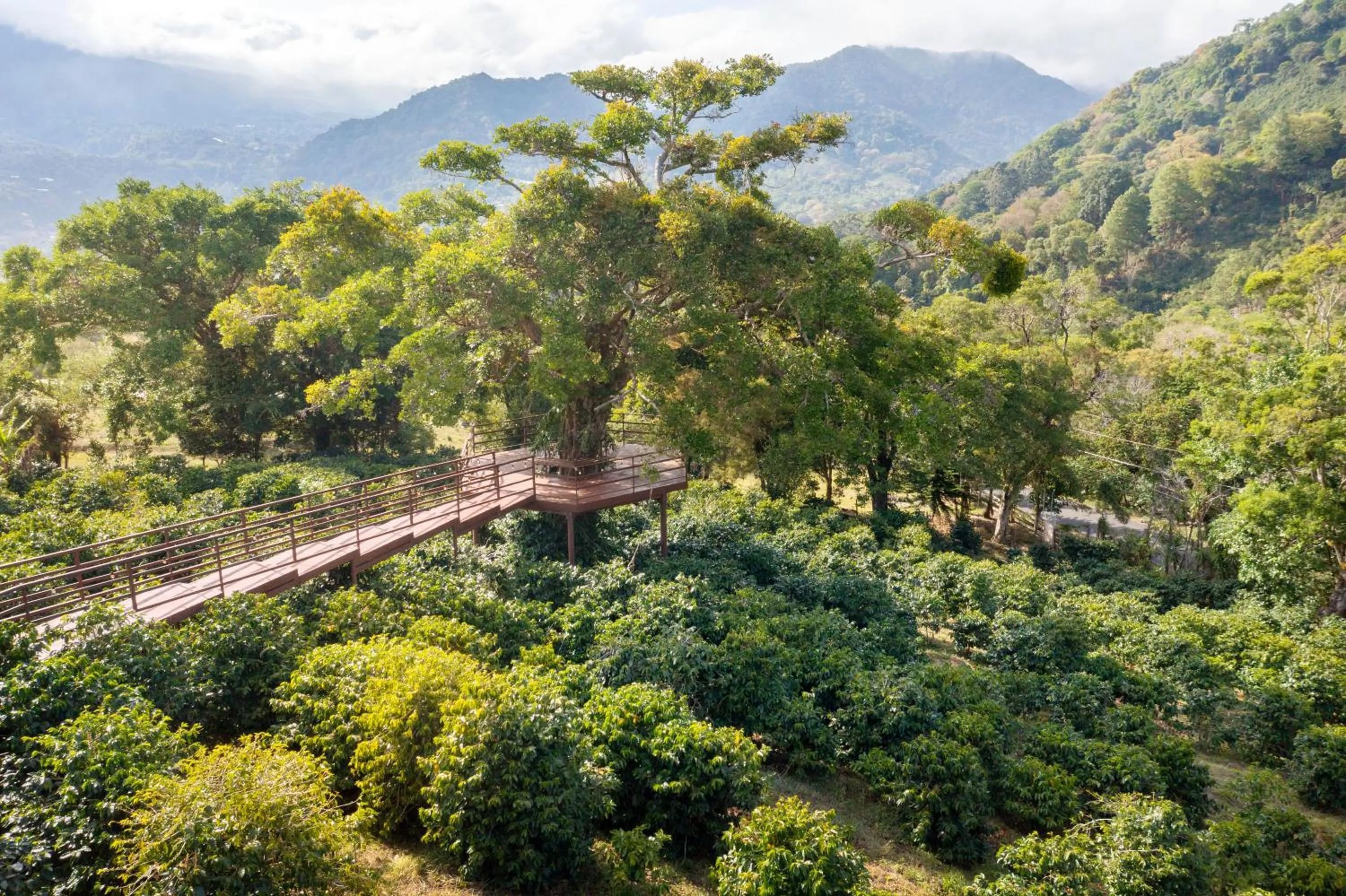 View (from property/room) in Los Establos Boutique Resort - All Inclusive