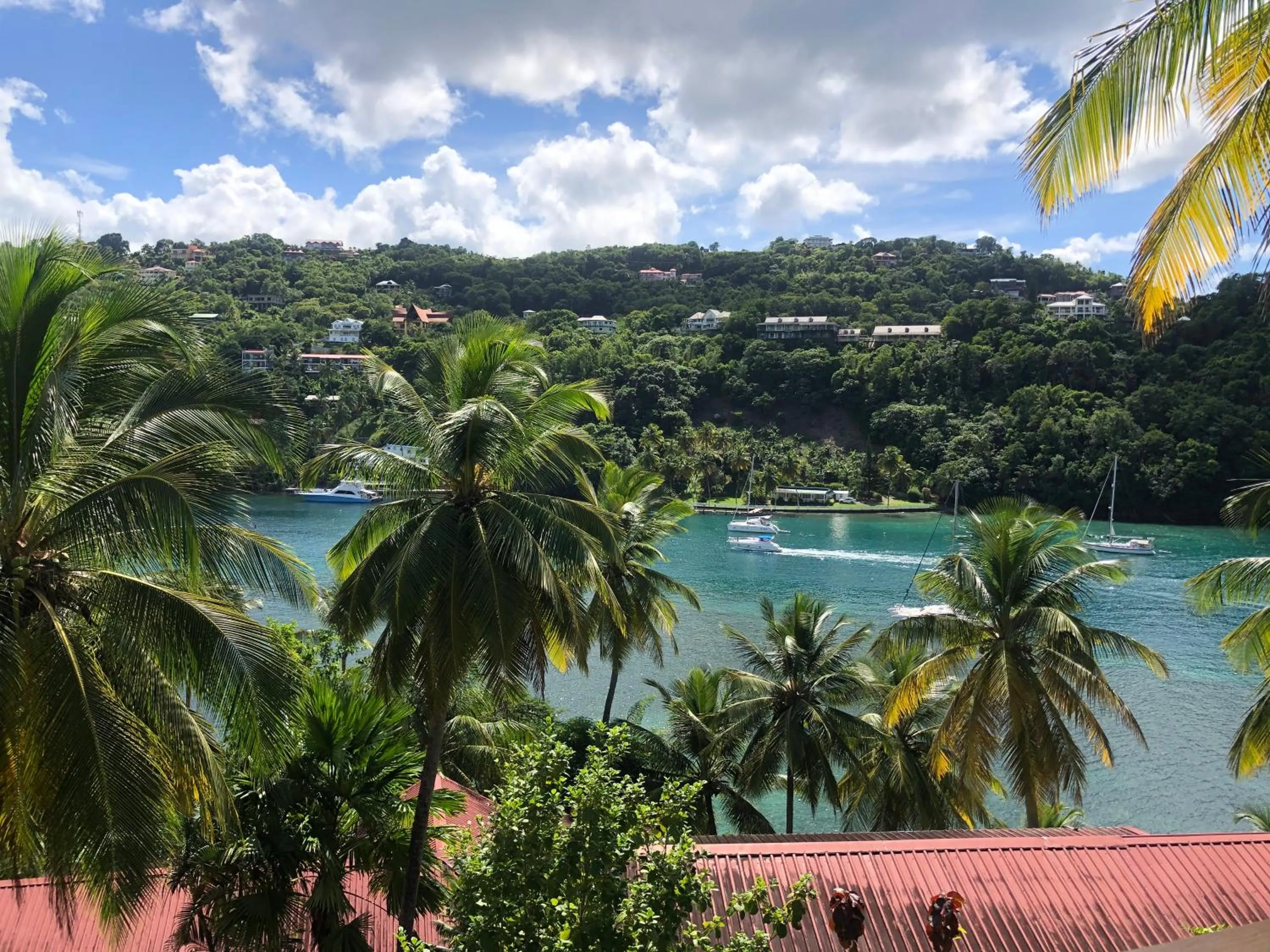 View (from property/room) in Marigot Beach Club & Dive Resort