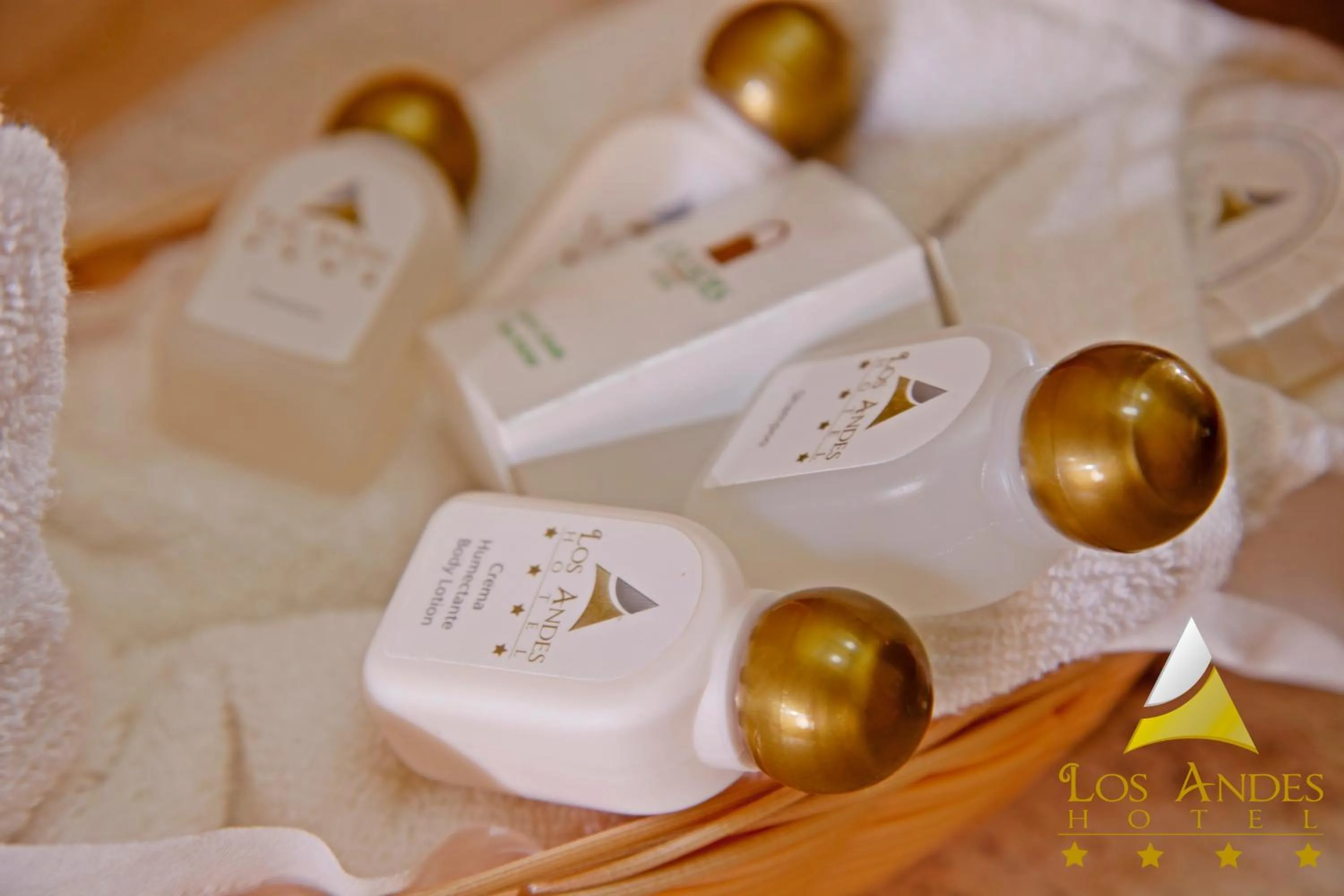 Bathroom in Los Andes Coatzacoalcos