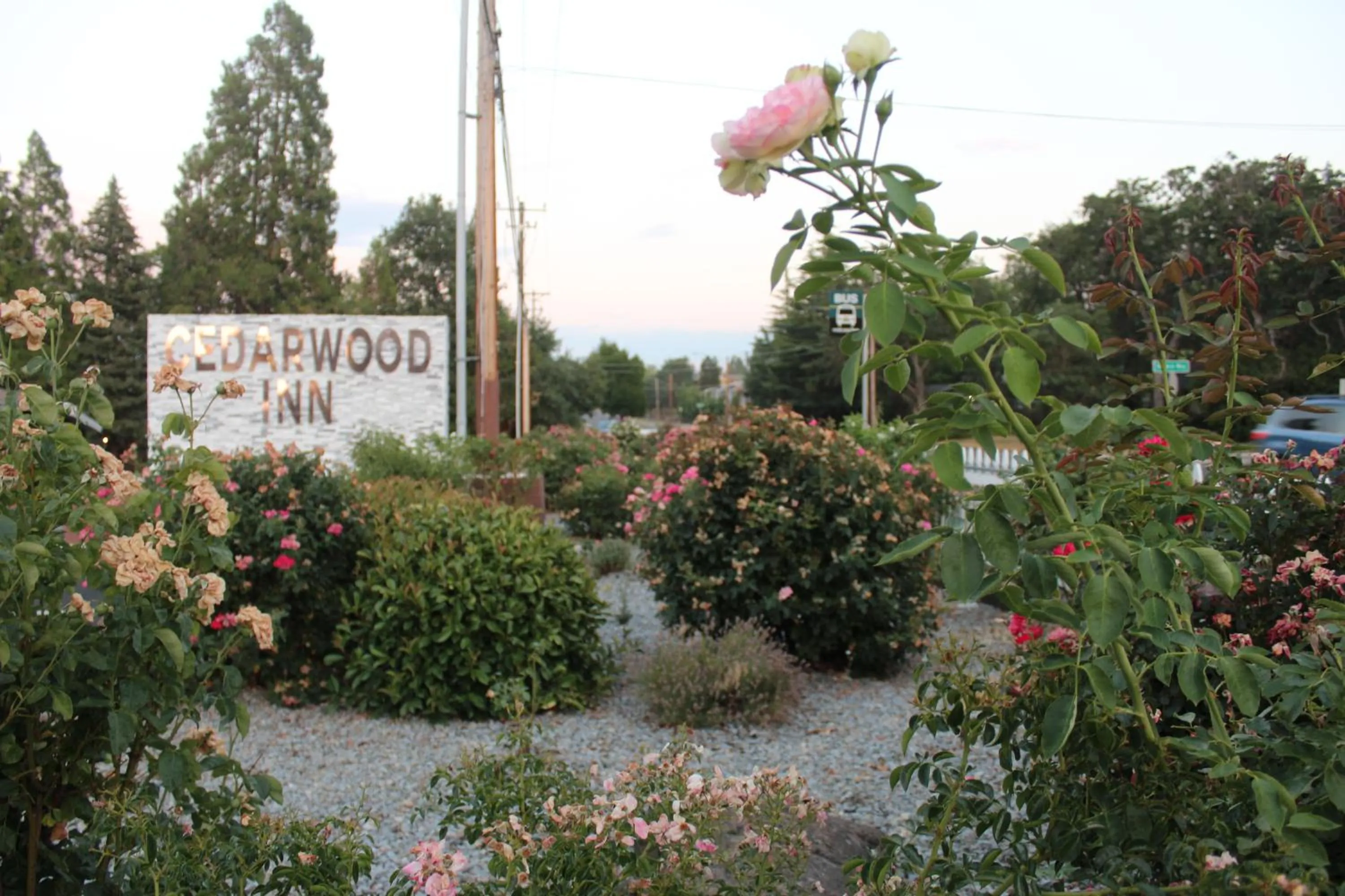 Garden view in Cedarwood Inn of Ashland