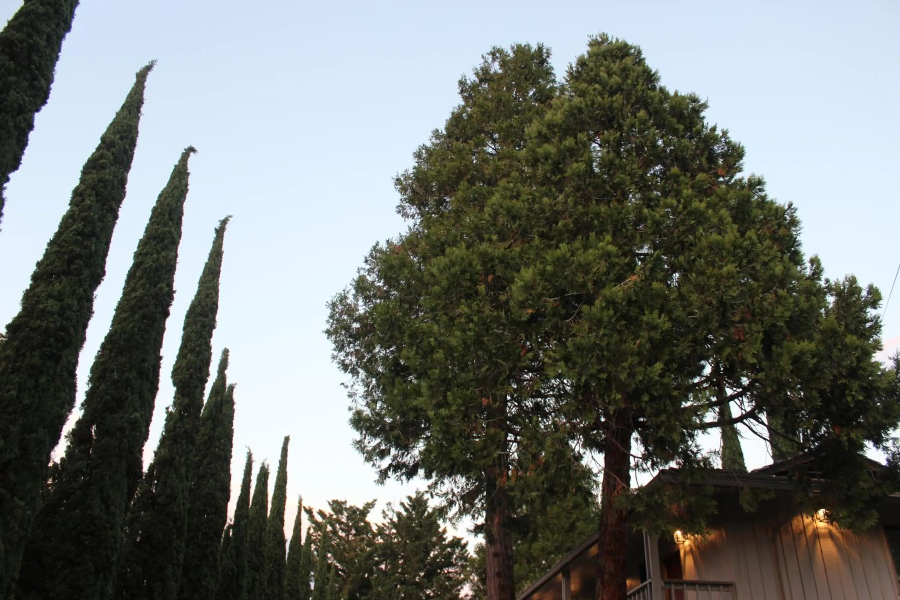 Natural landscape in Cedarwood Inn of Ashland