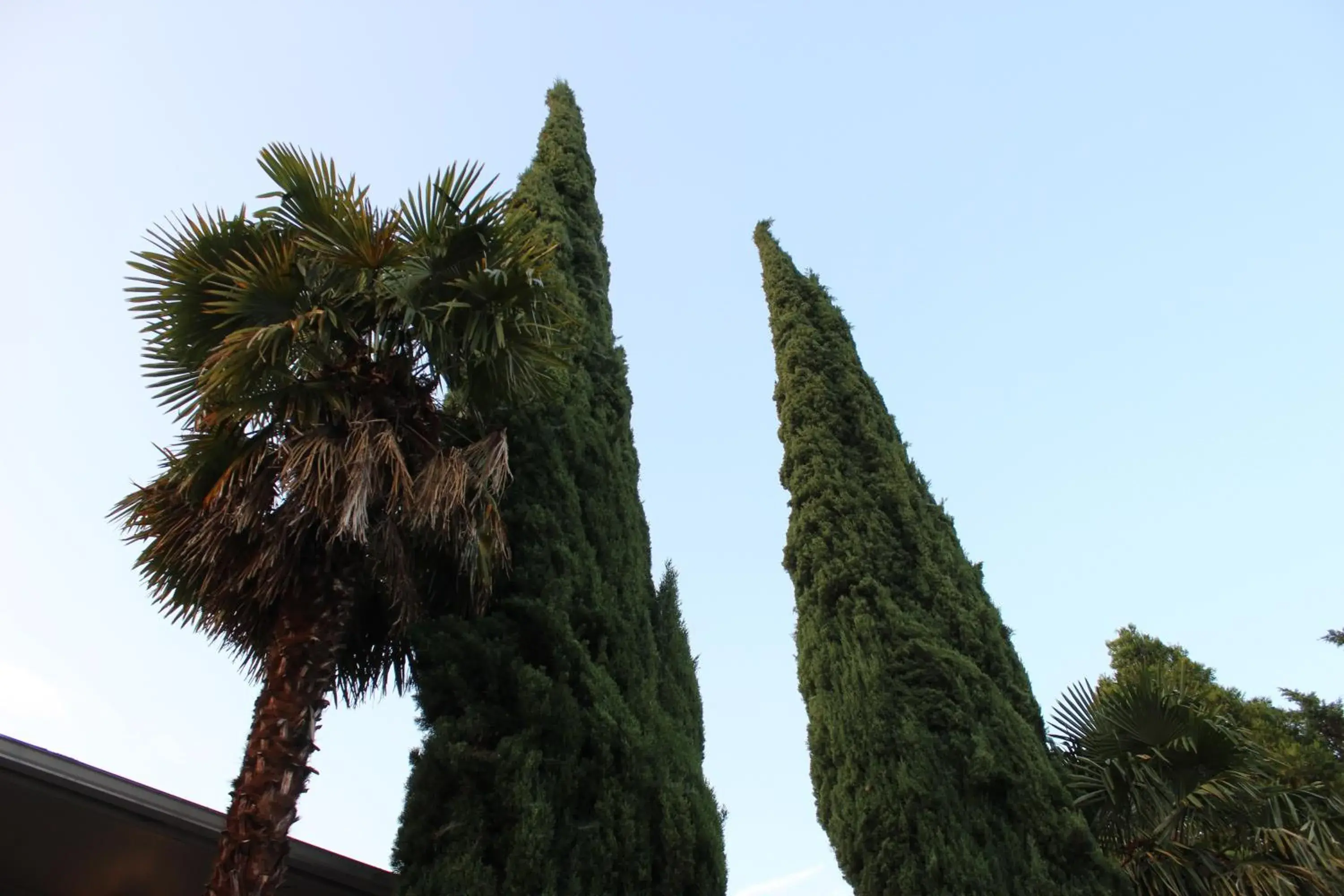 Garden view in Cedarwood Inn of Ashland Garden view in Cedarwood Inn of Ashland