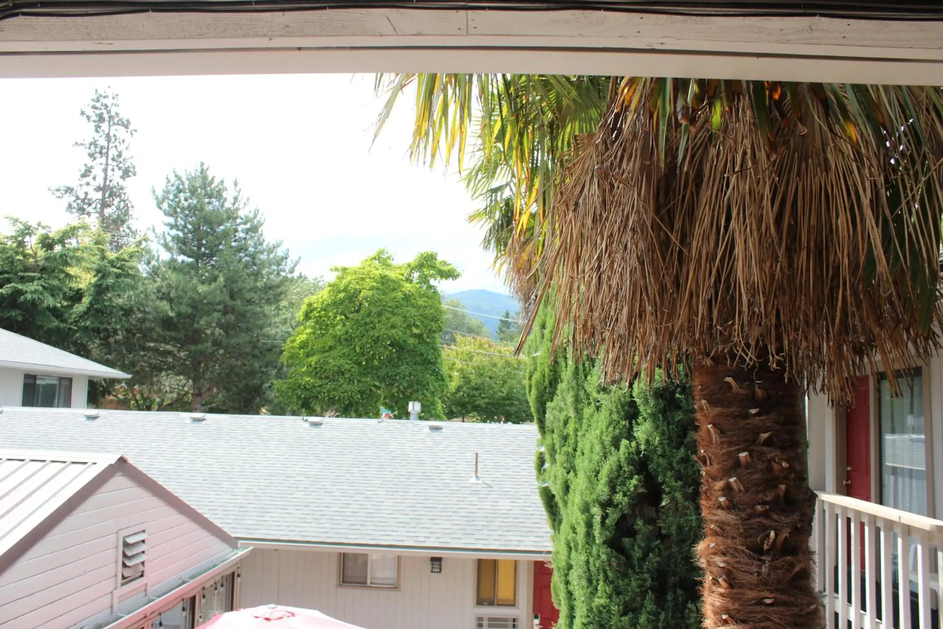 Inner courtyard view in Cedarwood Inn of Ashland Inner courtyard view in Cedarwood Inn of Ashland