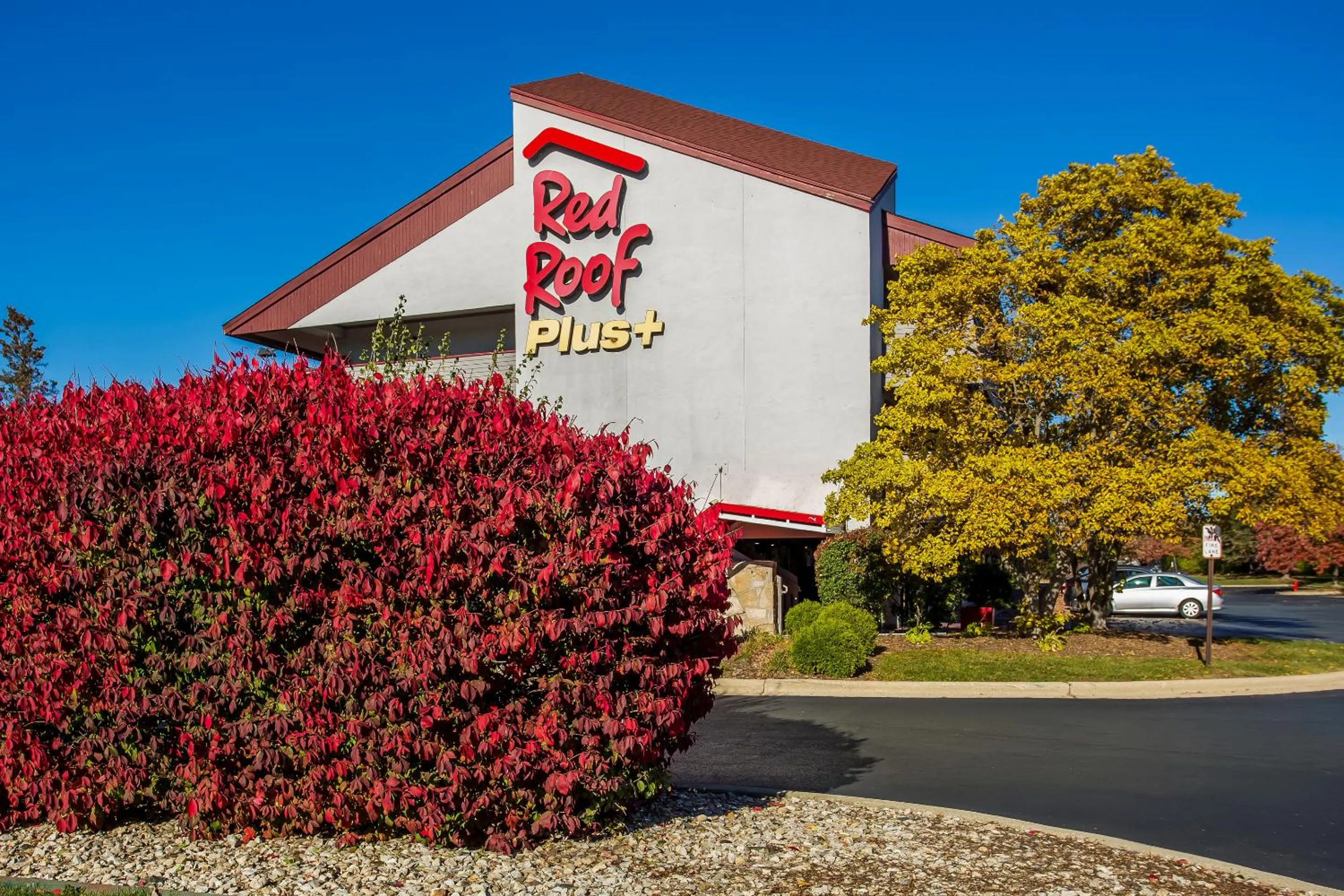 View (from property/room) in Red Roof PLUS Chicago - Hoffman Estates