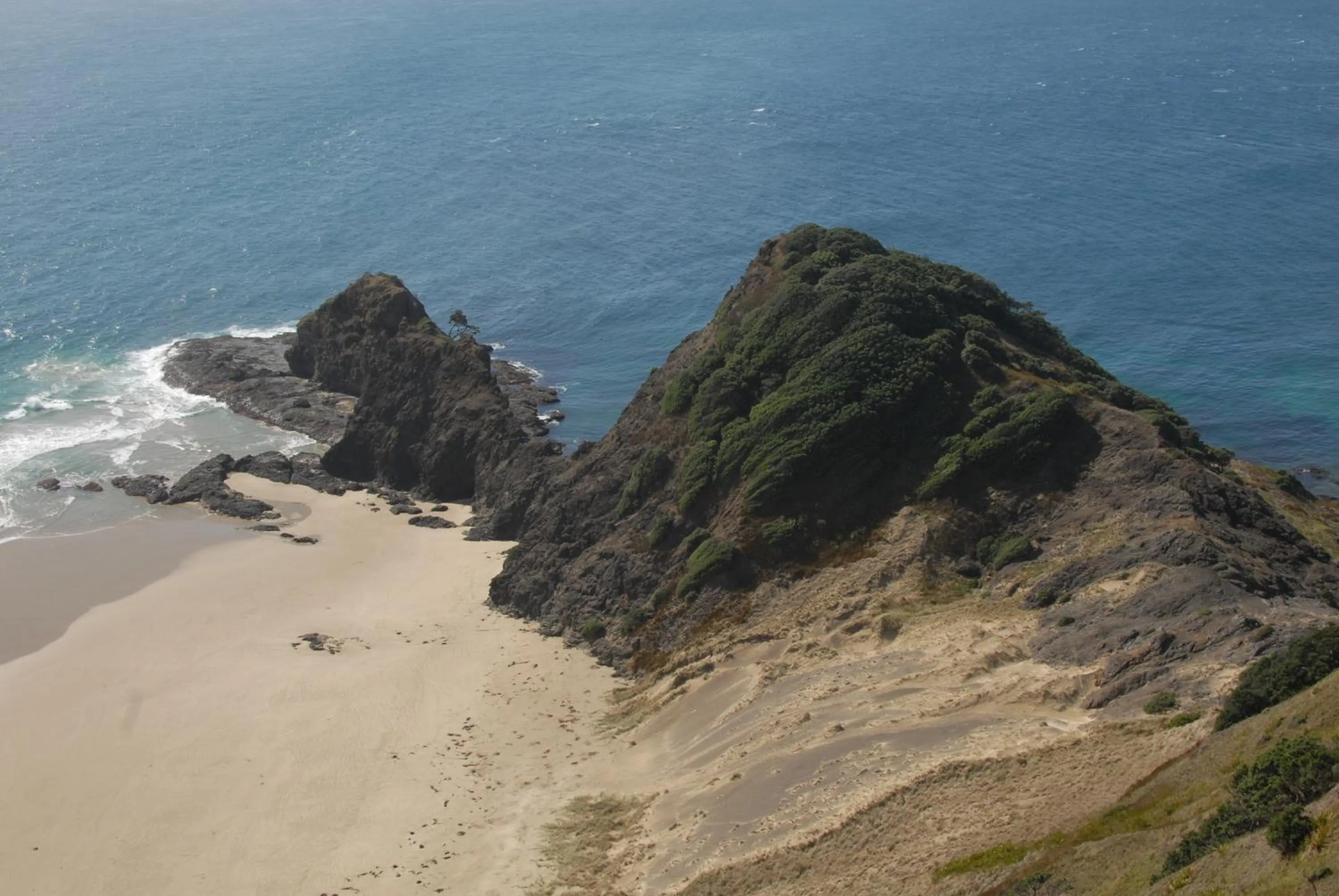 Natural landscape in Kauri Lodge Motel