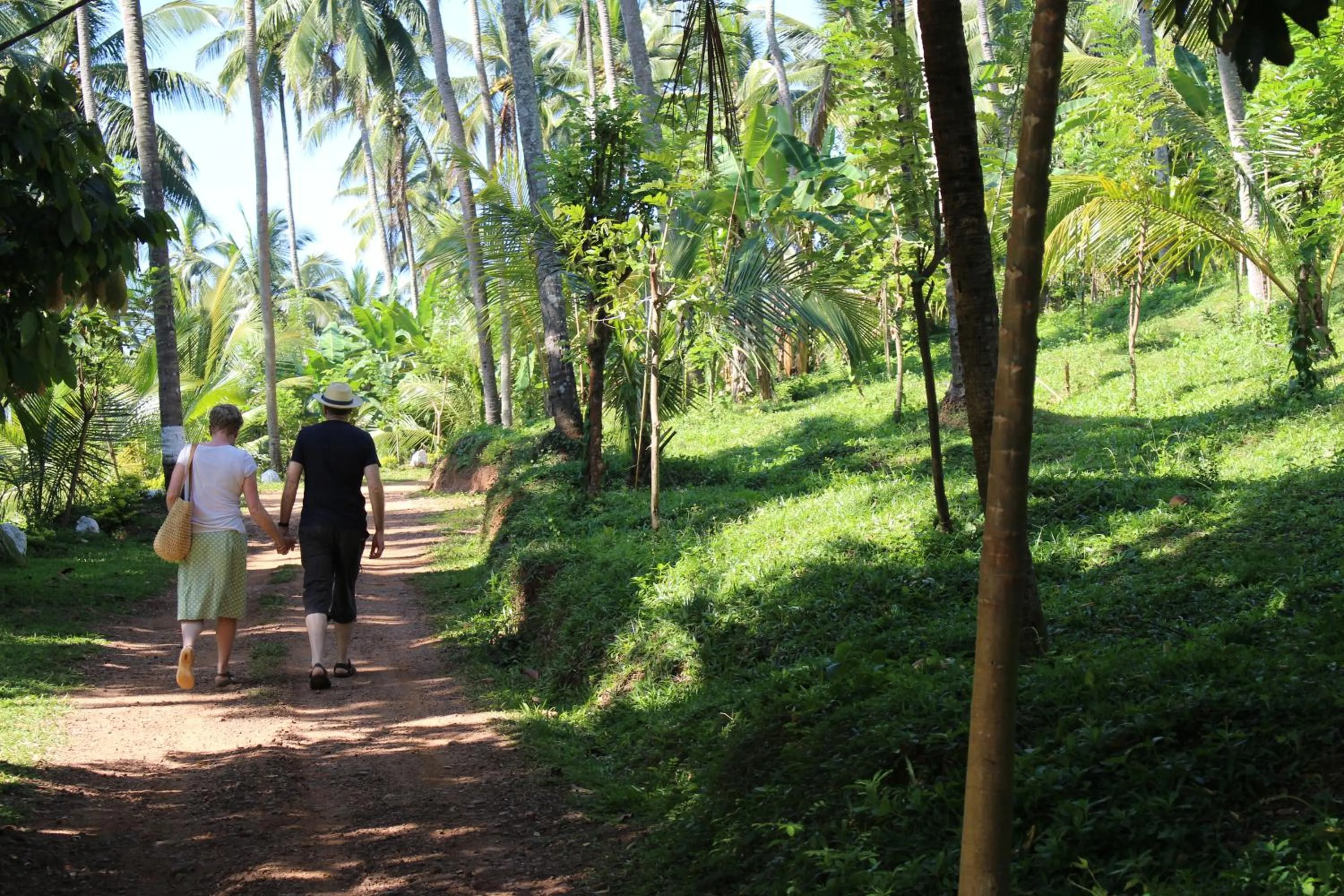 Day in Jim's Farm Villas
