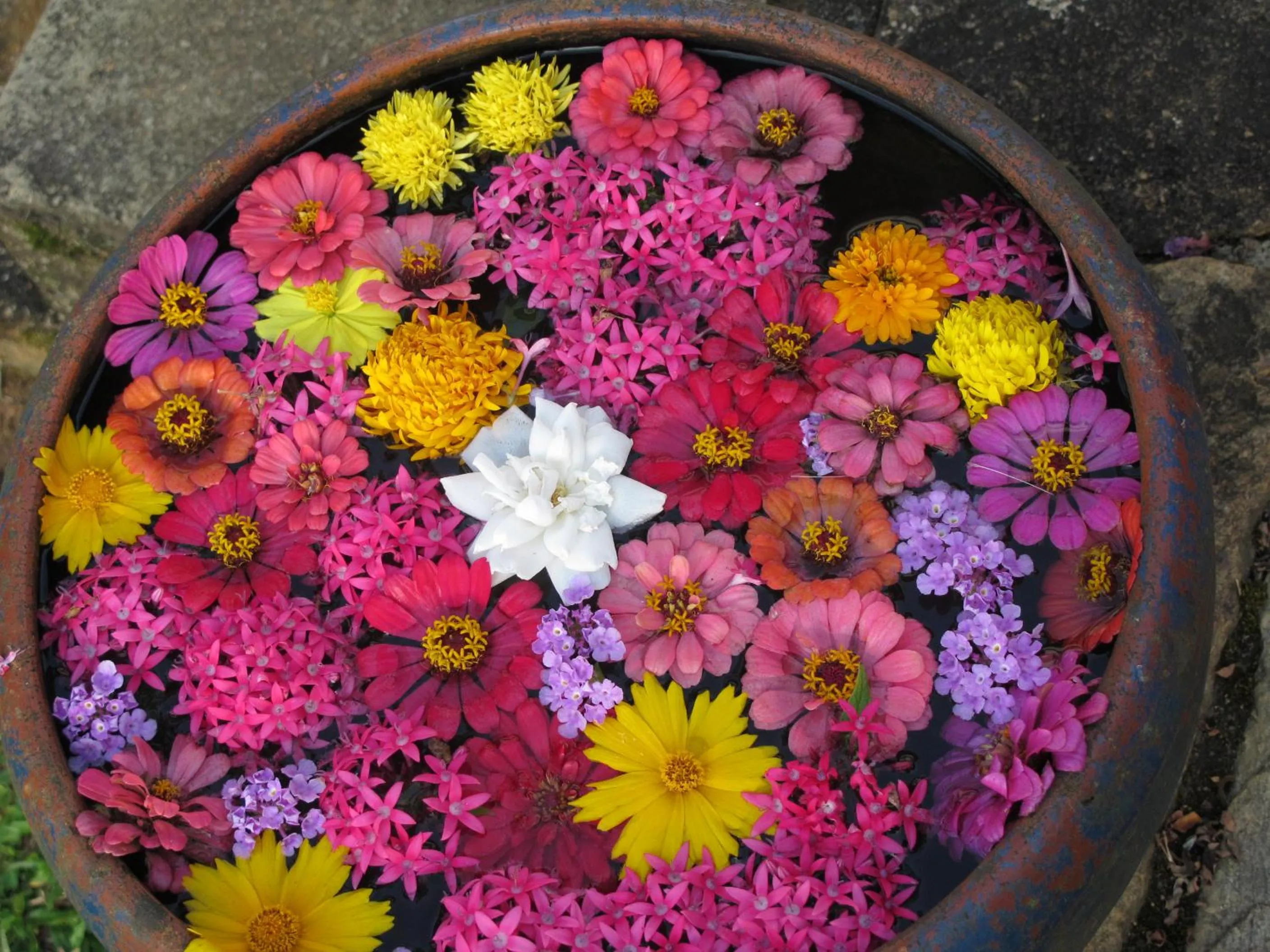 Other in Jim's Farm Villas