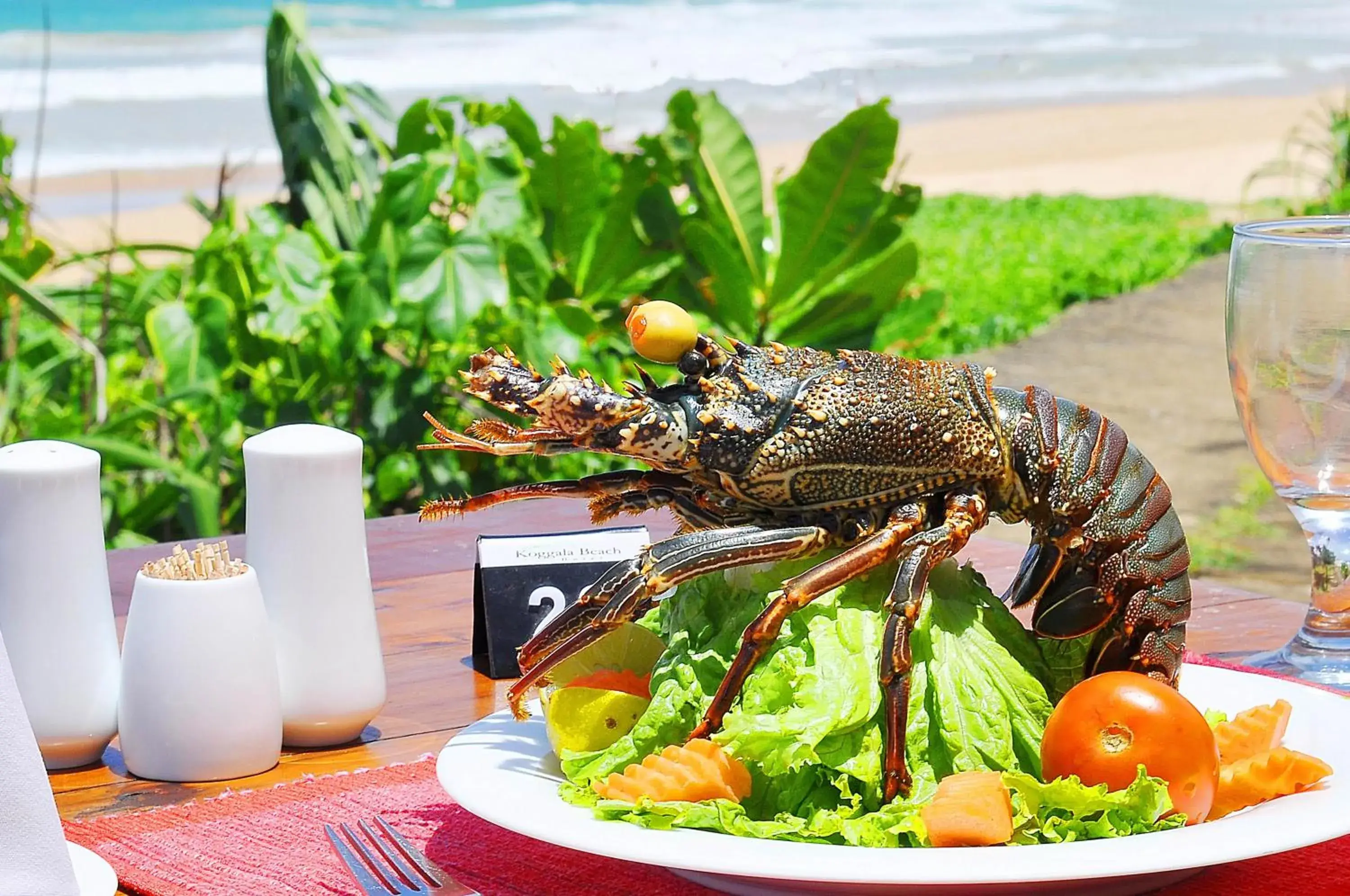 Food close-up in Koggala Beach Hotel Food close-up in Koggala Beach Hotel
