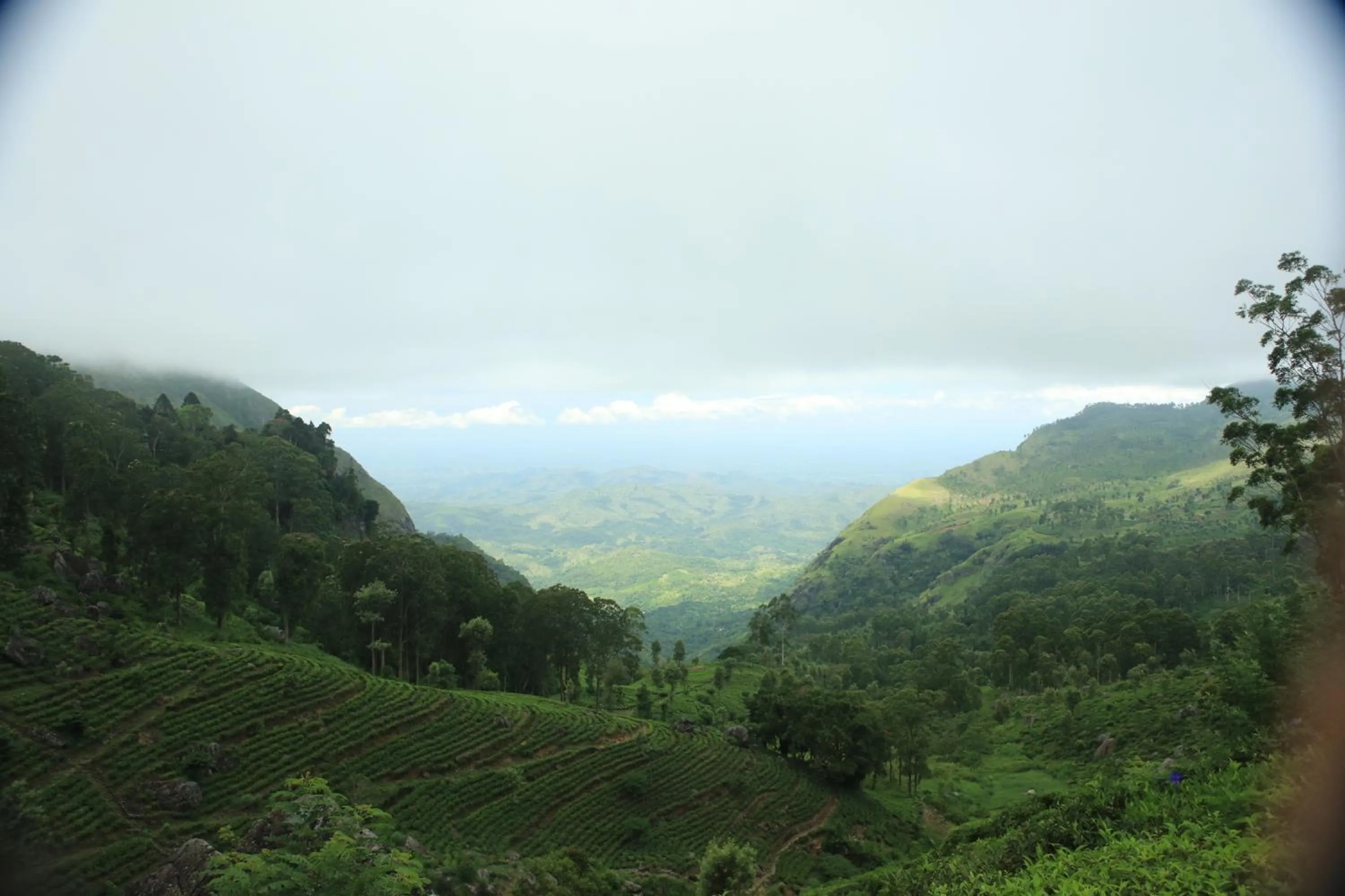 Natural landscape in Orient Hotel