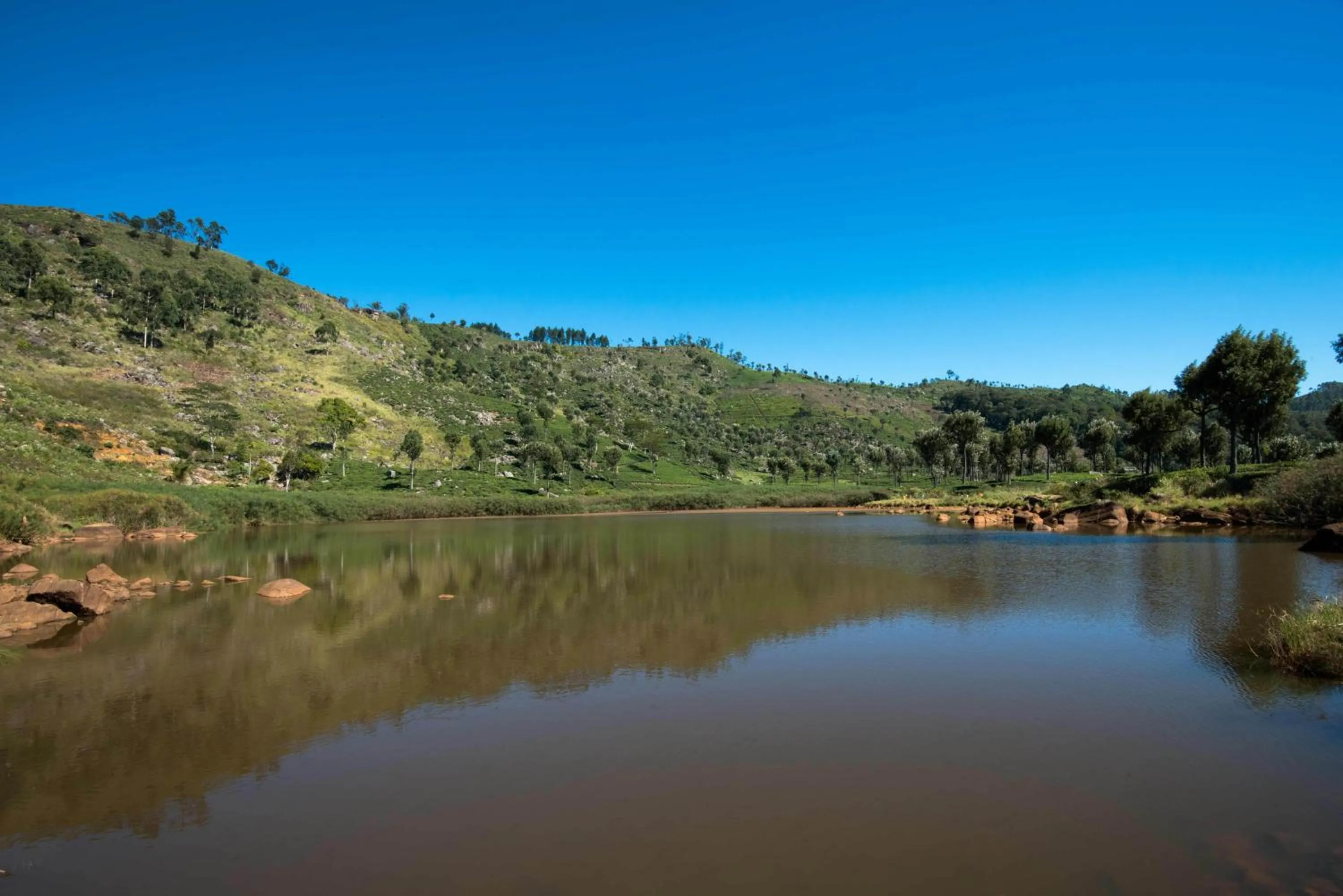 Natural landscape in Orient Hotel