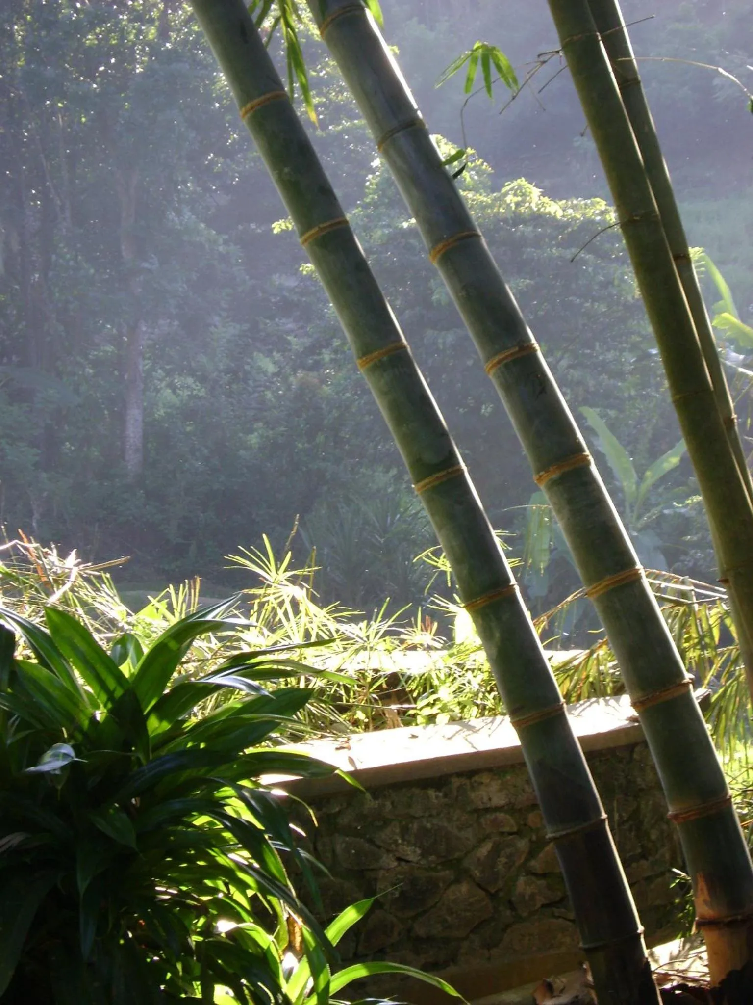 Natural landscape in Landa Holiday House