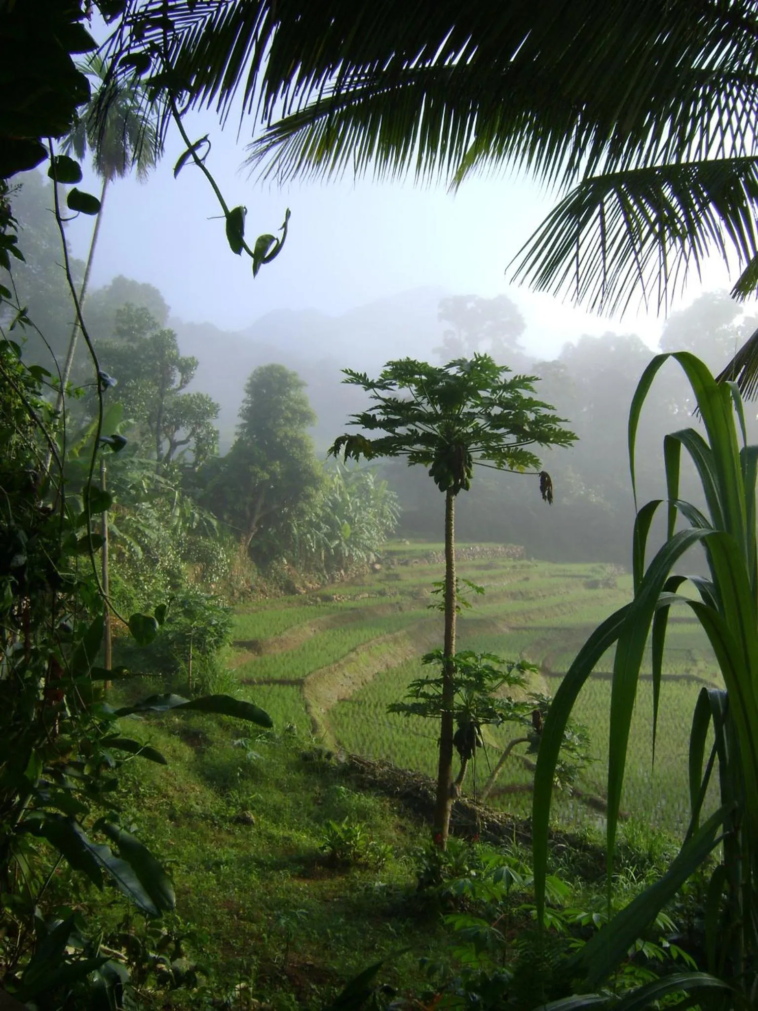 View (from property/room) in Landa Holiday House